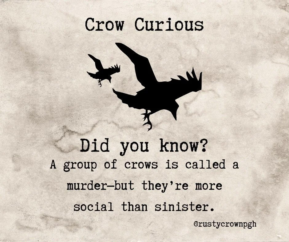🖤🪶 CROW PARTY CALLING 🪶🖤 is in just 22 more days!
What trinket will you be trading? So far we've heard about a raccoon skull, a vintage zippo, a small blown glass crow, an old shiny brooch from grandma's estate.
#crowcurious #crowparty #FunF