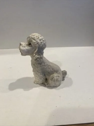 https://i.etsystatic.com/8059587/r/il/14b597/6022415182/il_fullxfull.6022415182_rw8a.jpg