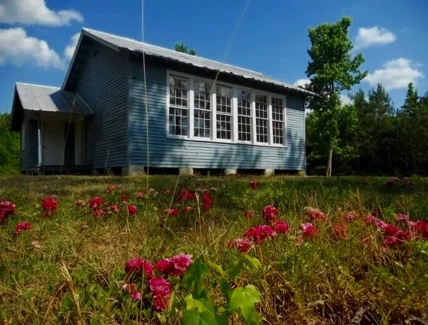   Donate     Learn More   