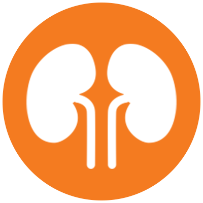 Néphrologie
