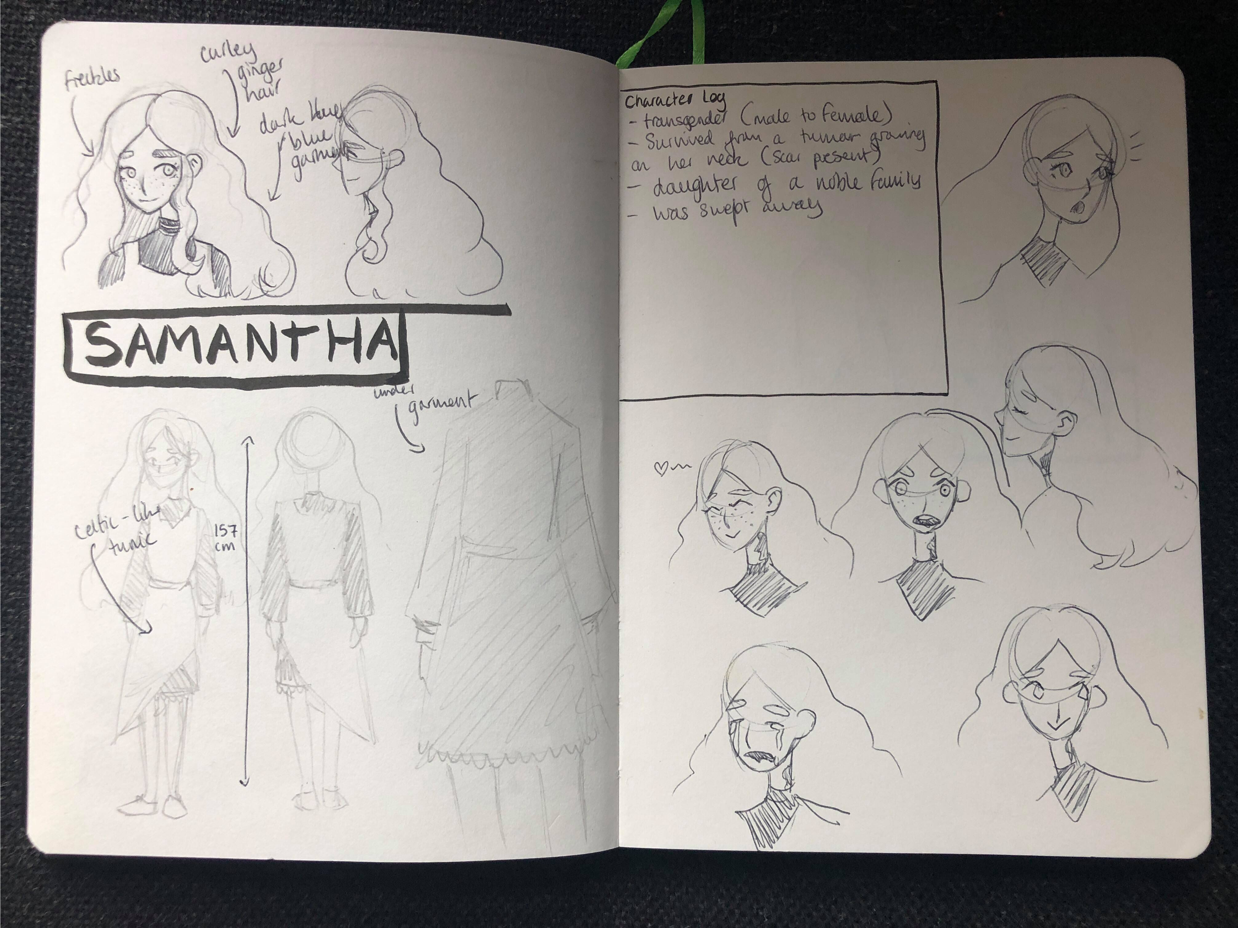 Sam concept.png