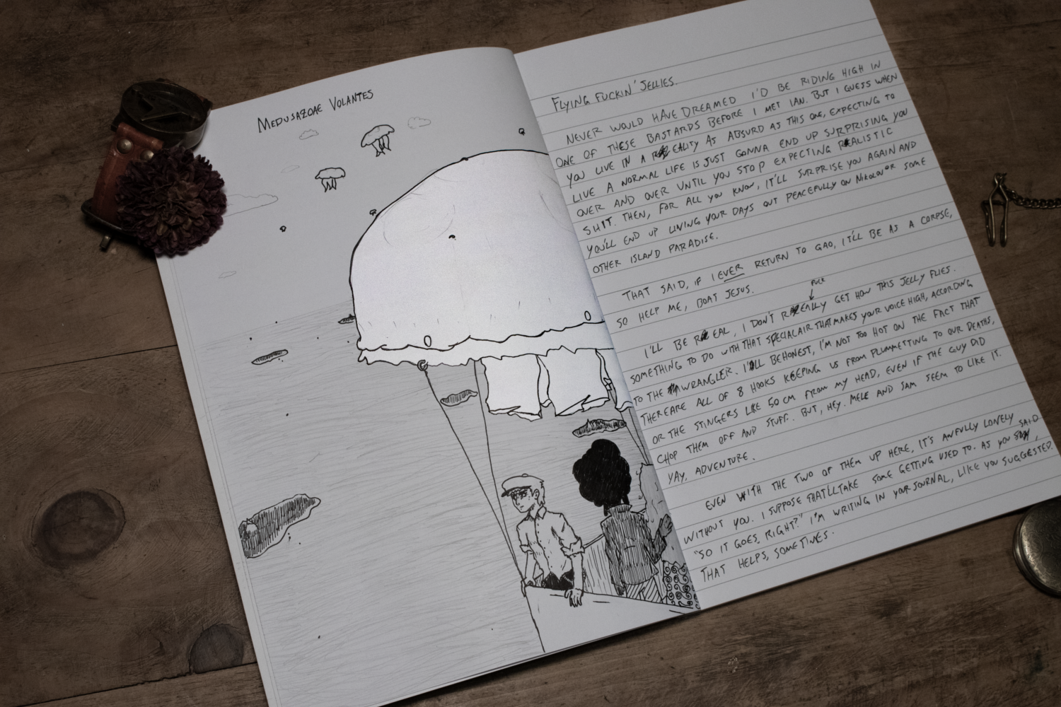 Journal entry.png