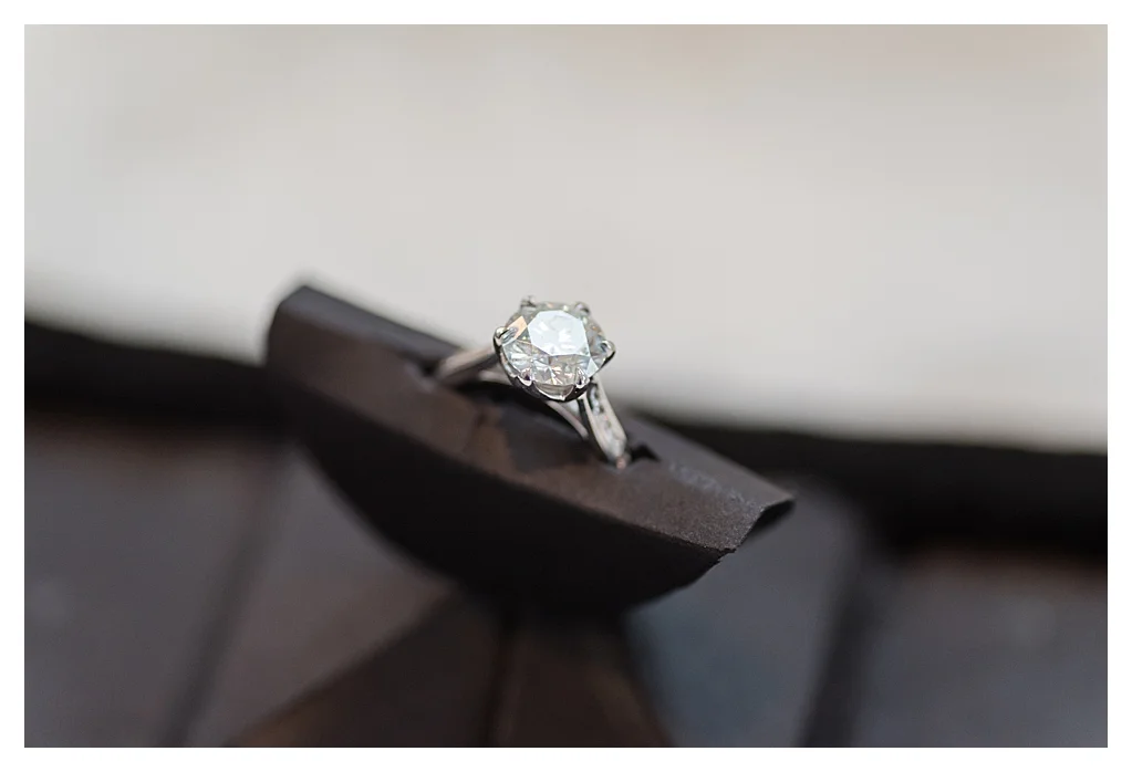 Ritz Charles Wedding Carmel Wedding Photographers_0373.jpg