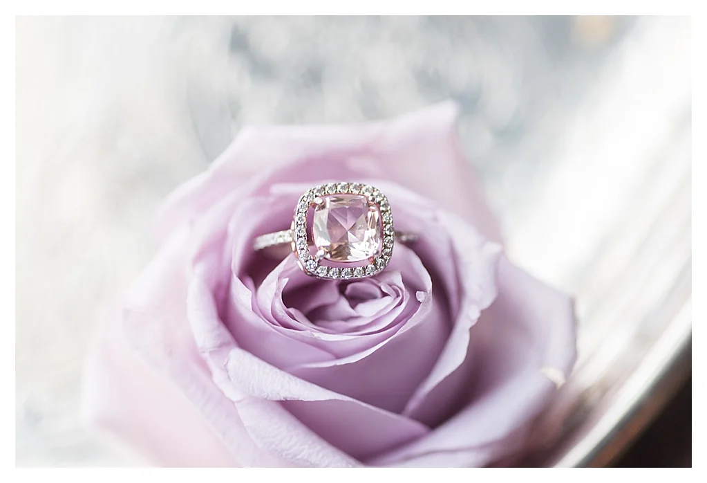 Indianapolis Wedding Photographers_0583.jpg