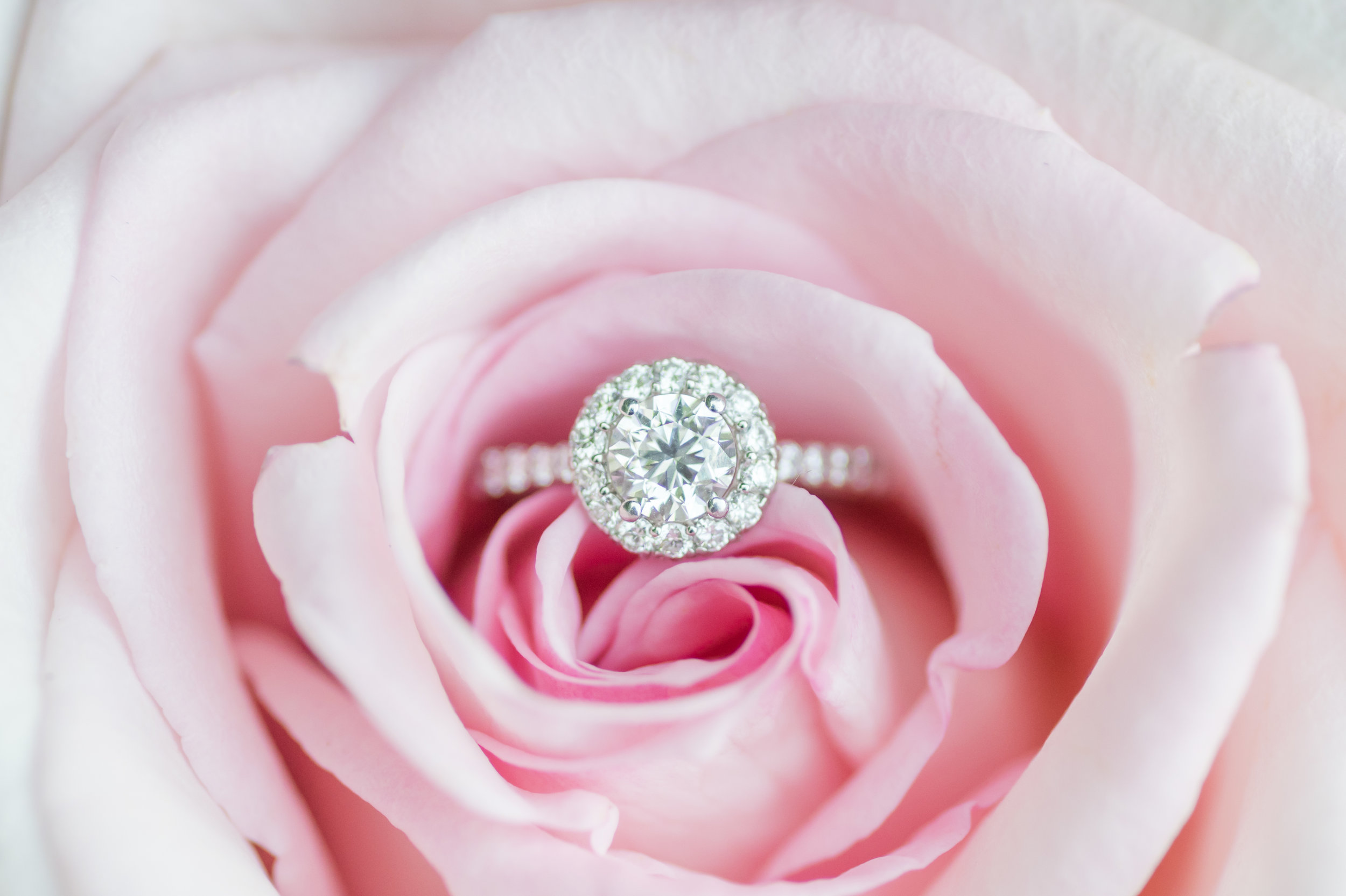 Rakoteet Photography-165.jpg