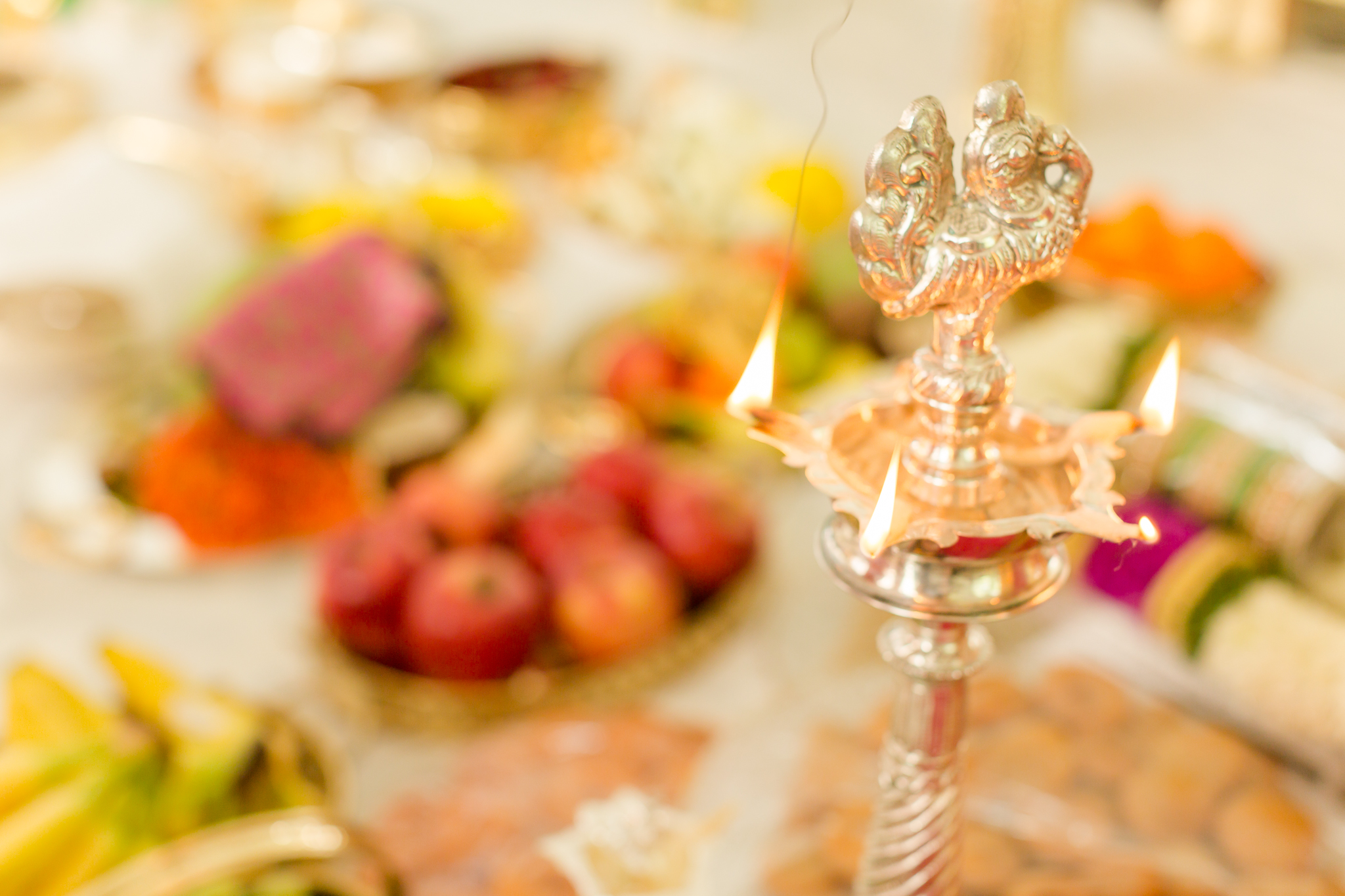Chicago Hindu Wedding Photographer-65.jpg