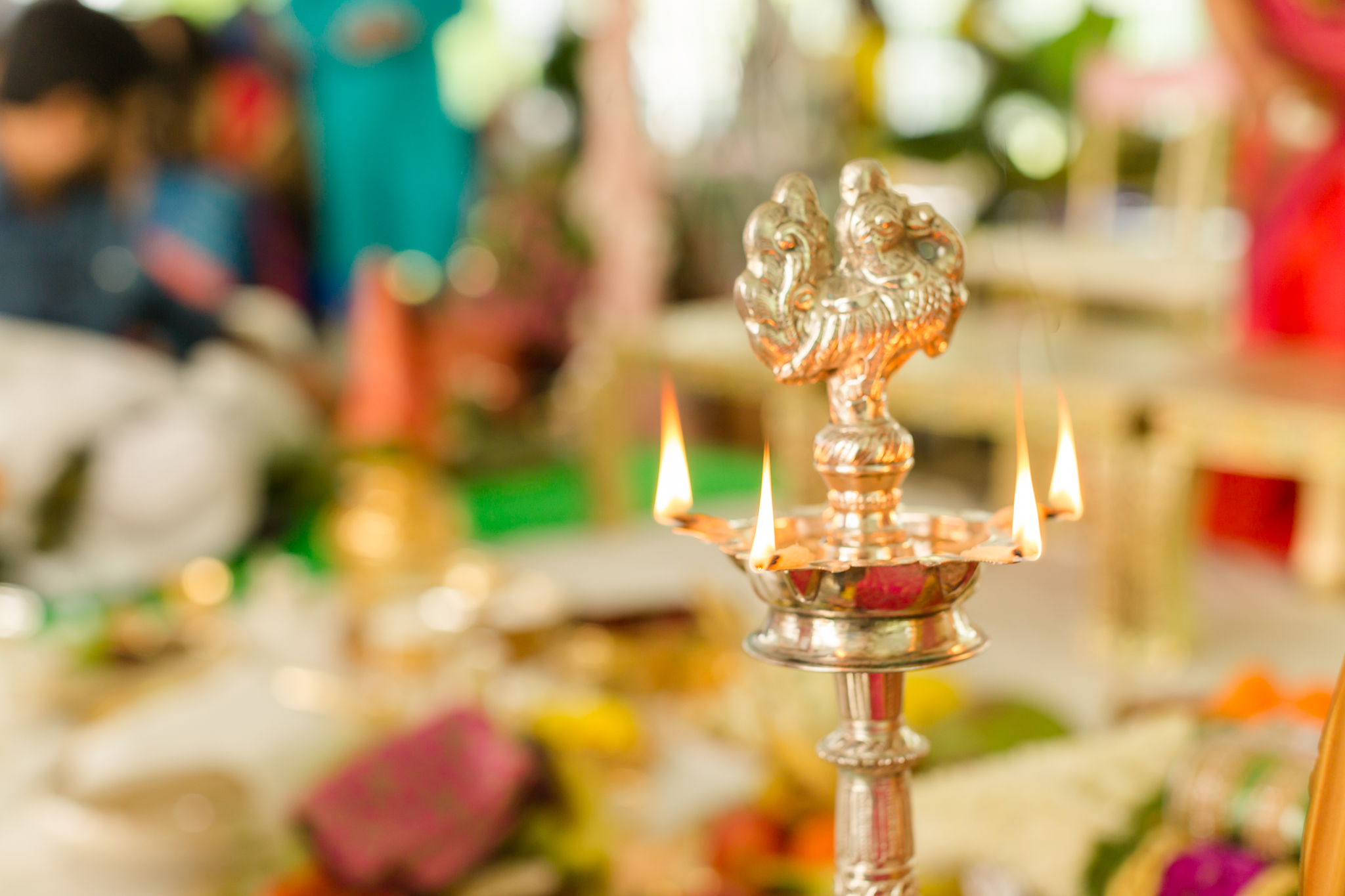 Chicago Hindu Wedding-66.jpg
