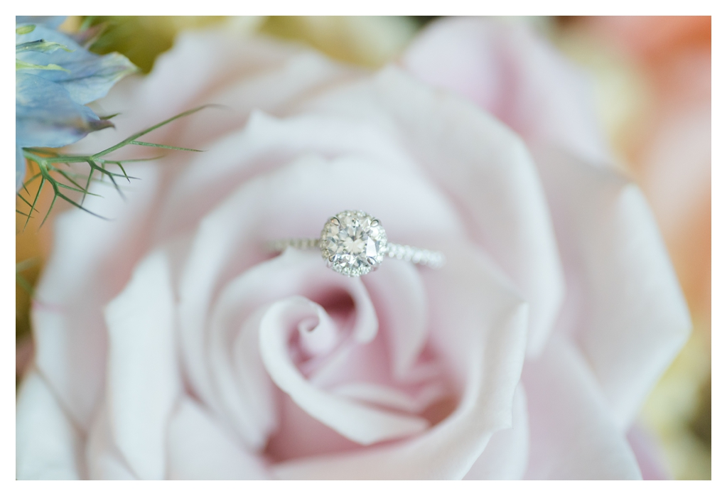 Indianapolis Zoo Wedding Photos_0781.jpg