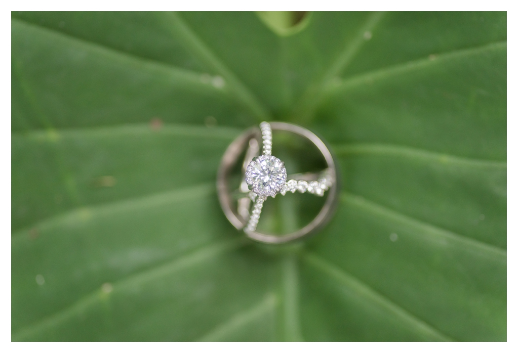 Indianapolis Zoo Wedding_0698.jpg