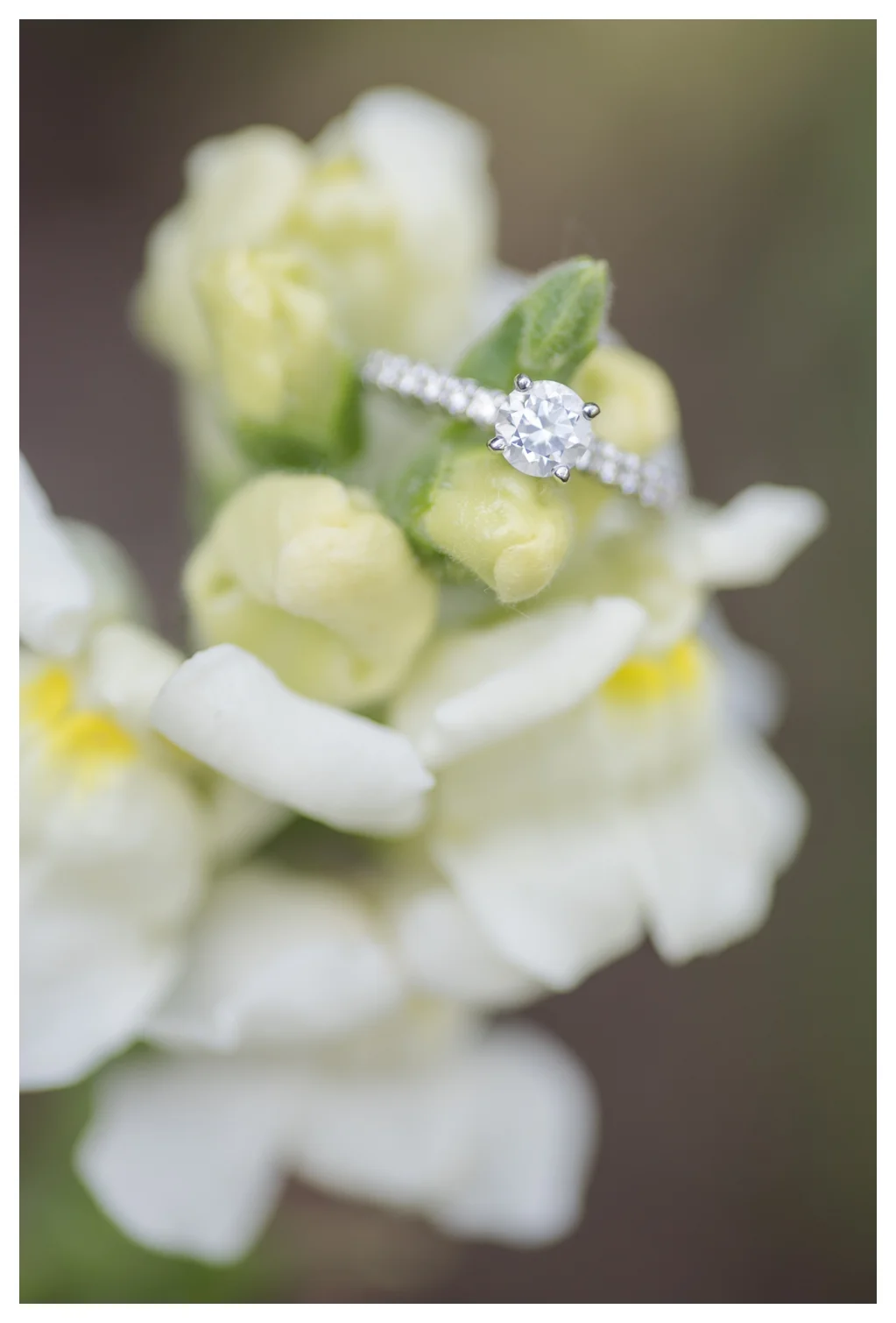 Newfields Wedding Photographer_0814.jpg