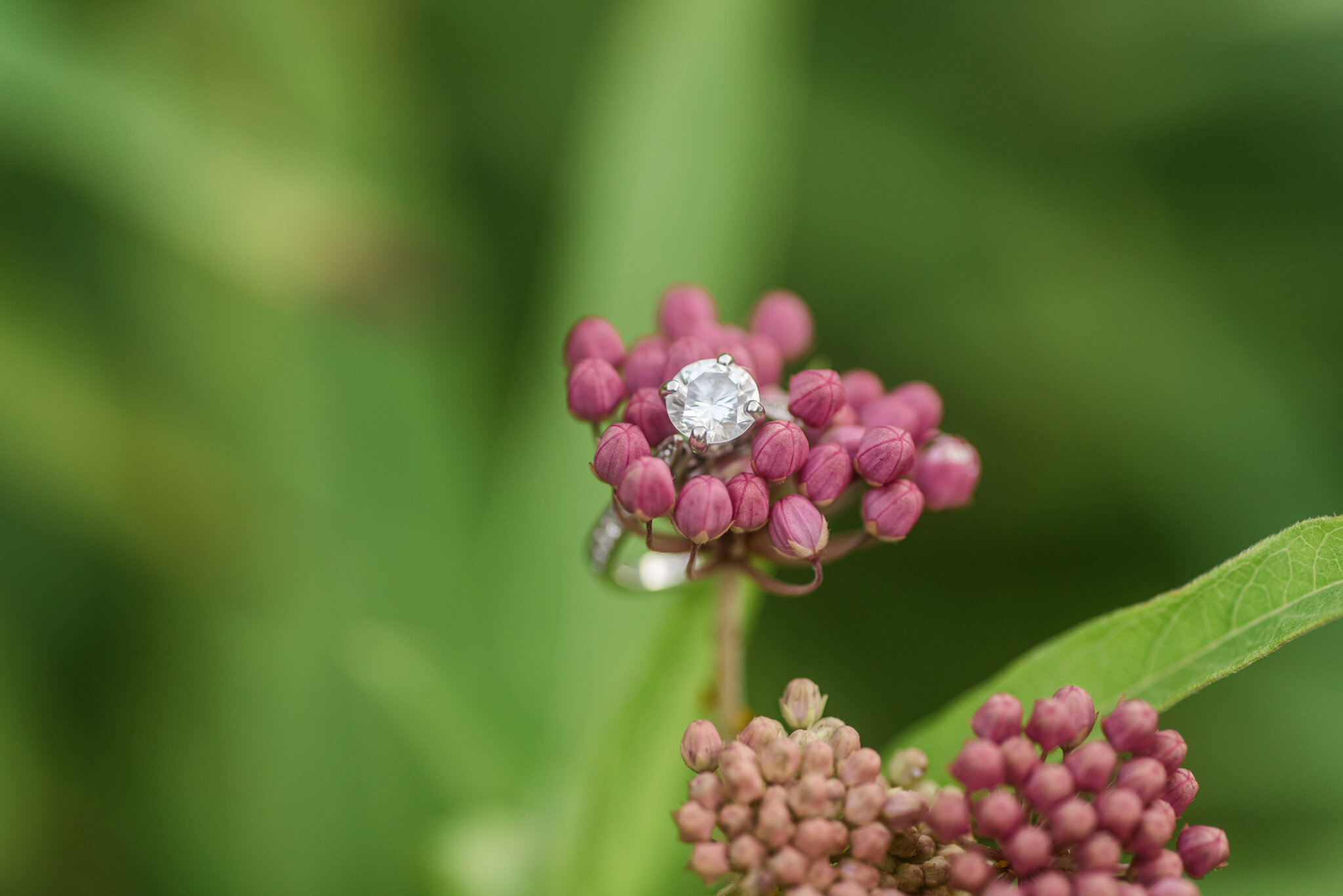 Eagle Creek Engagement Session August1664.jpg