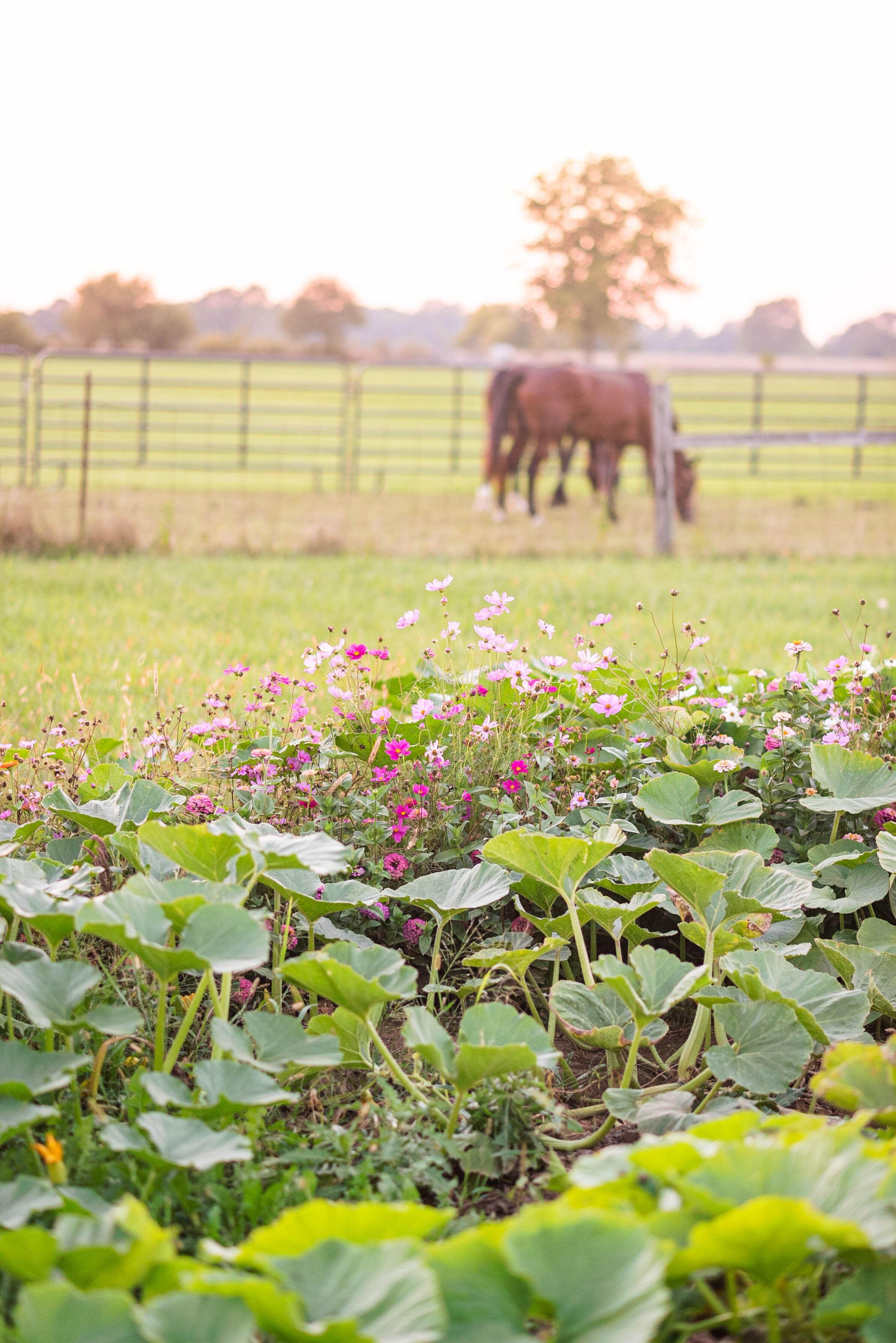 Michelle Poteet Photography-0313.jpg