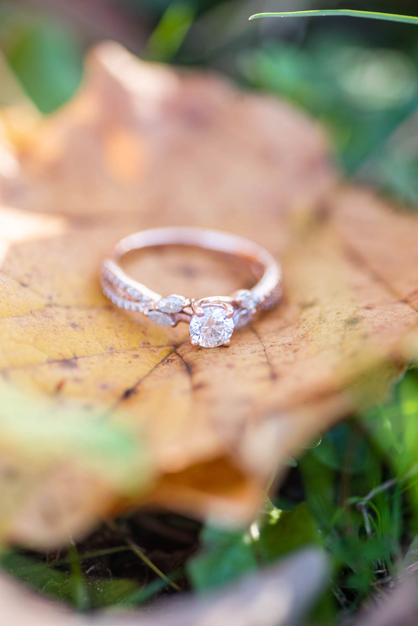 November Engagement Photos at Eagle Creek-4002.jpg