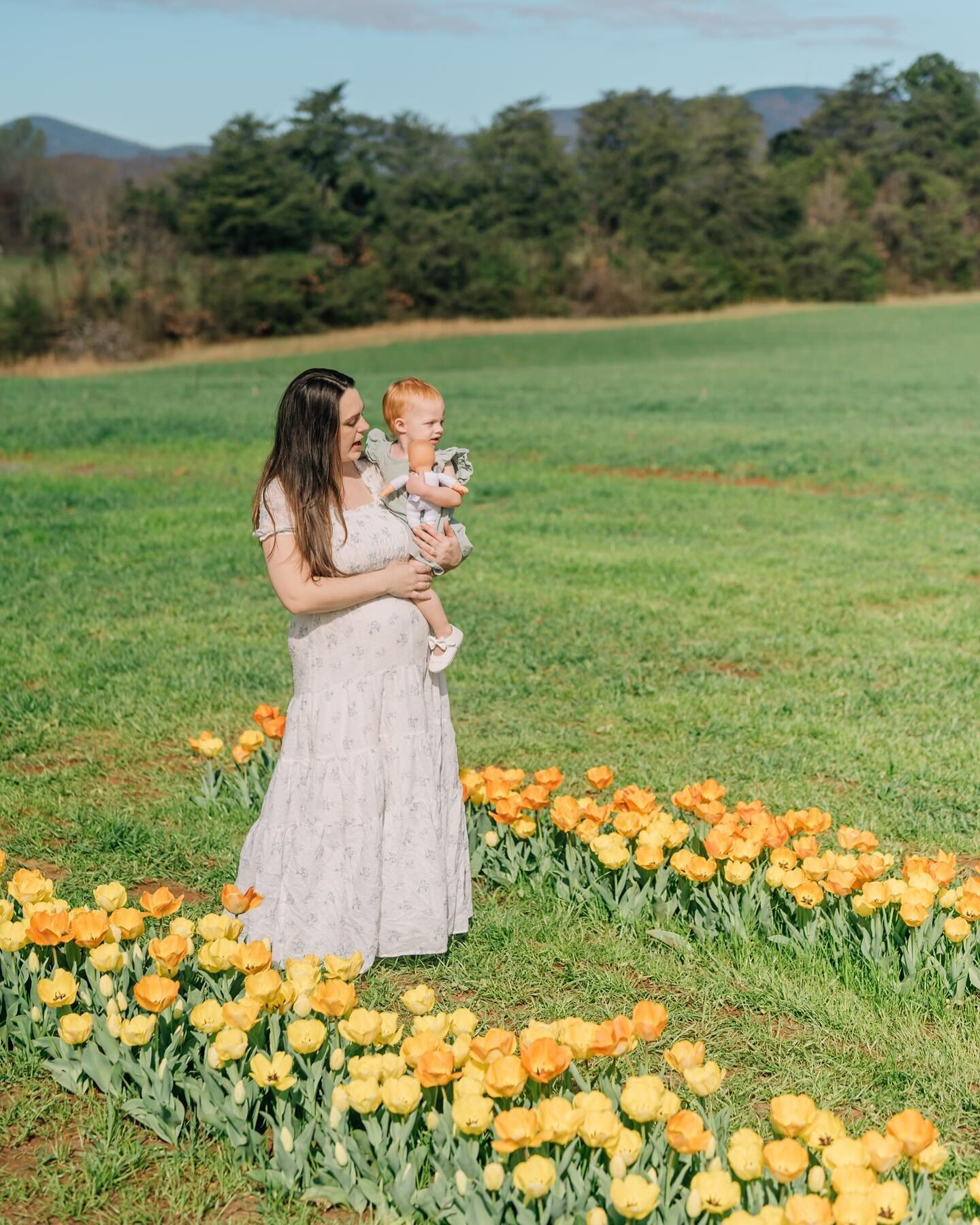 Spring is here! It was so much fun getting to pick gorgeous tulips and taking some photos of myself with my own little one! This pregnancy has been flying by, and I can&rsquo;t believe we will meet our newest little in three months or less!

P.s. the