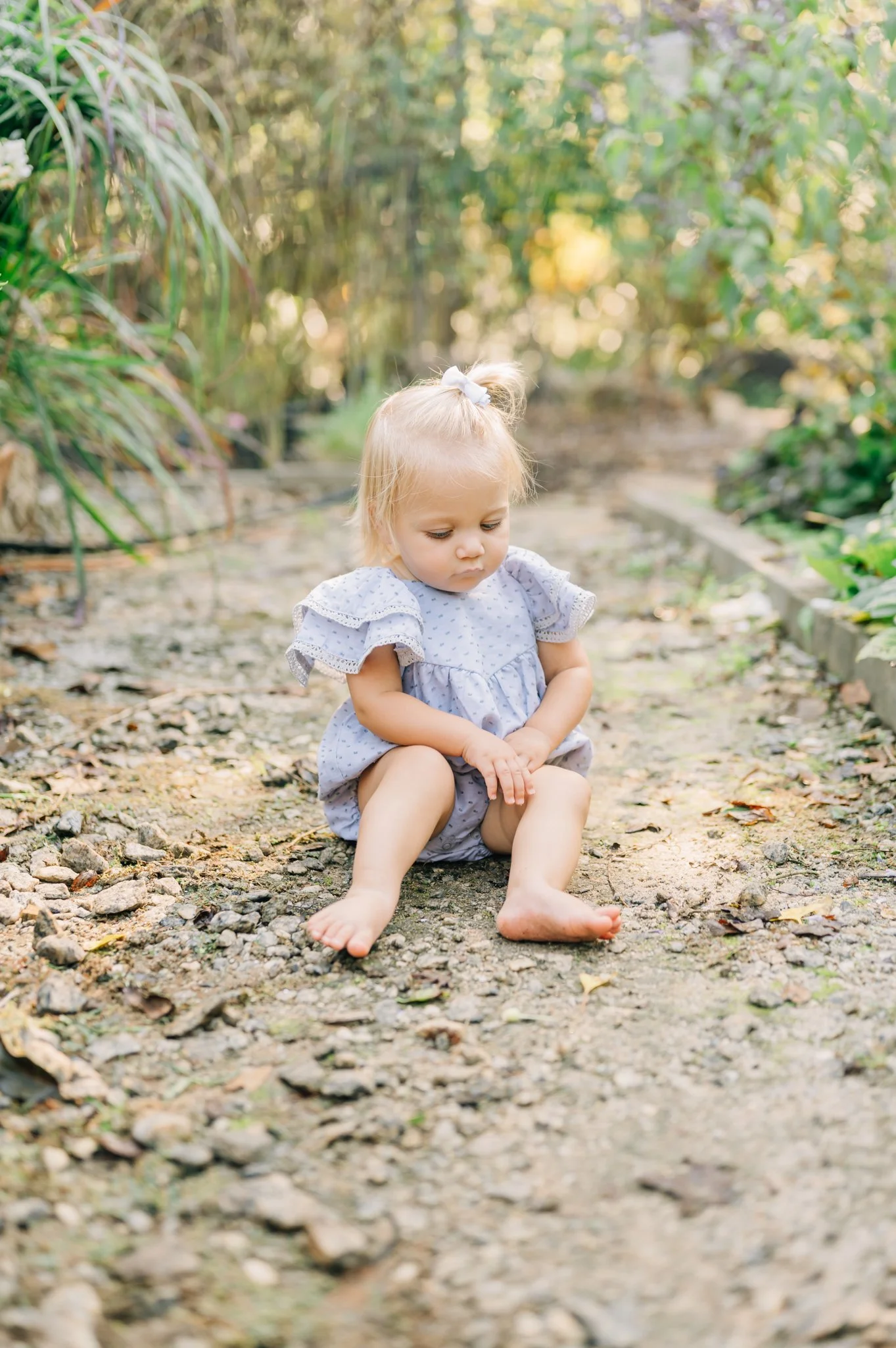 Fall Family Photos in Greenville, South Carolina