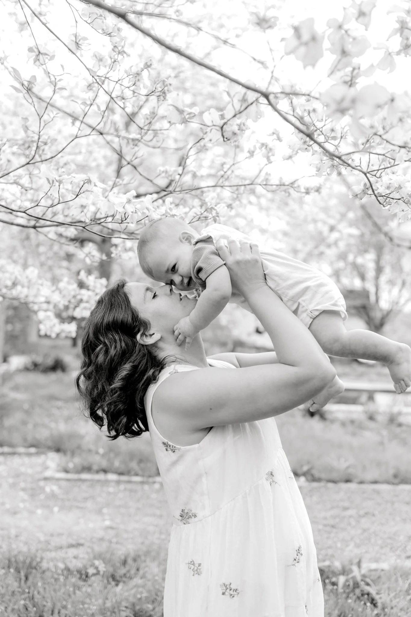 Family Photographers in Travelers Rest, SC