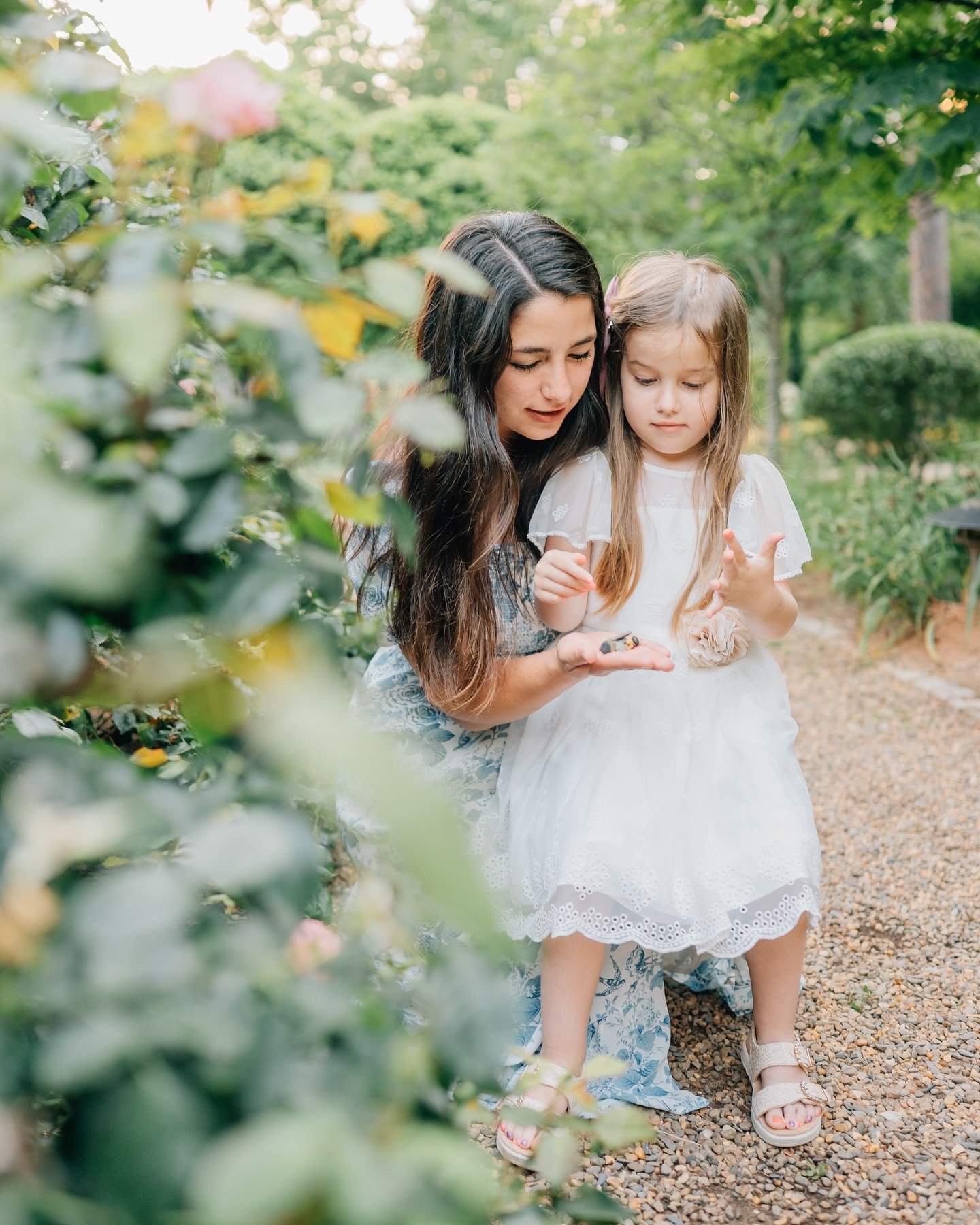 Rose gardens, Mountain Views, and the sweetest mother and daughters. These family photos were full of snuggles, laughter, and personality. And their video might be my favorite one yet 🥹