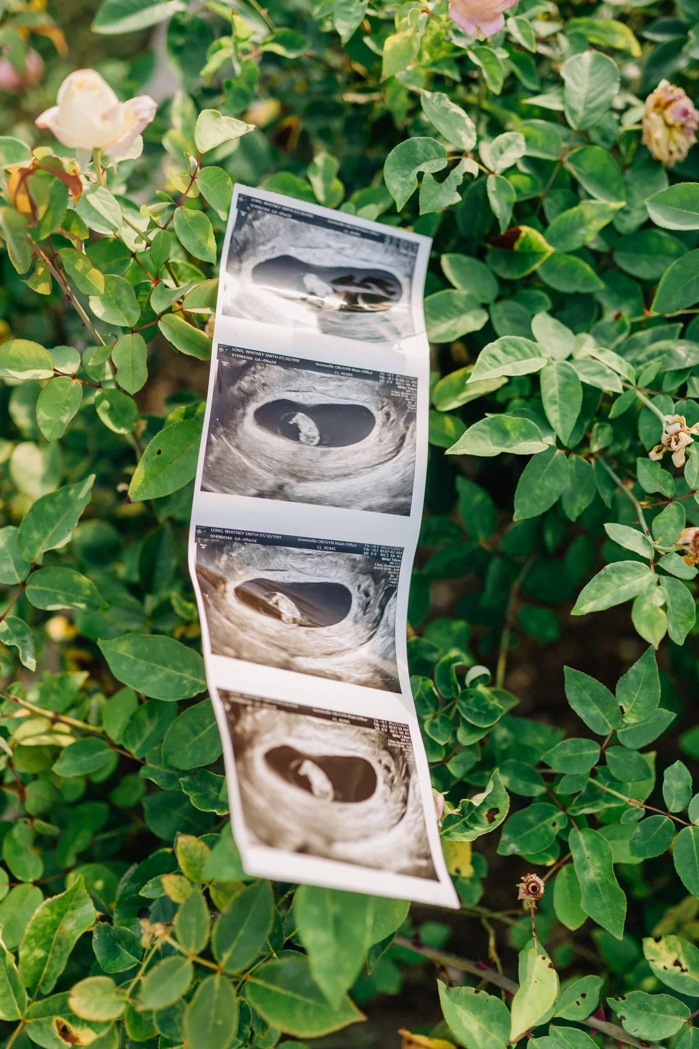 pregnancy announcement mini session photographer in greenville sc-7979.jpg