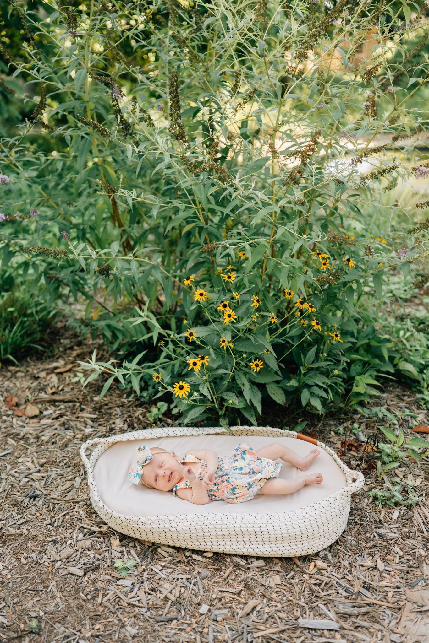 Outdoor Newborn Photos in Travelers Rest, SC