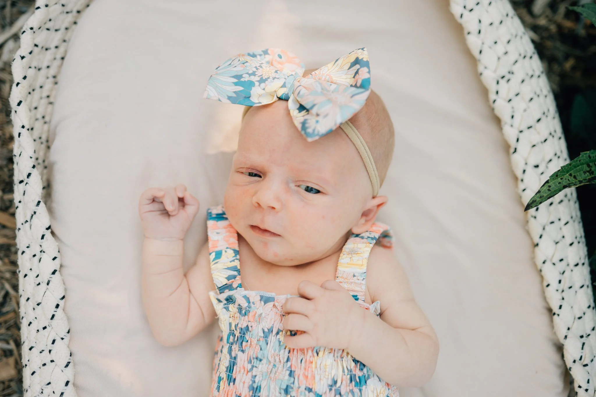Outdoor Newborn Photos in Travelers Rest, SC