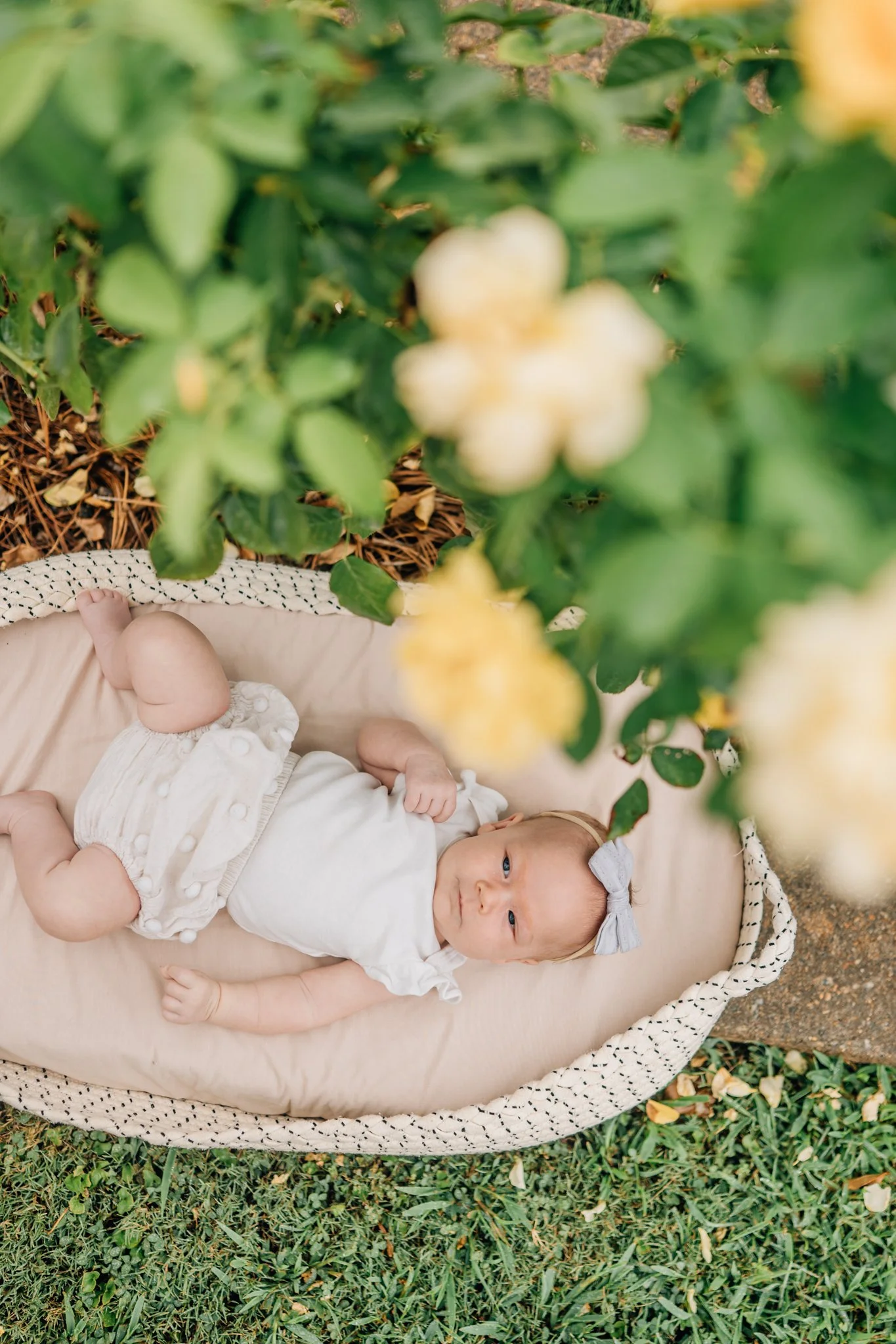 Outdoor Newborn Mini Session In Greenville, South Carolina