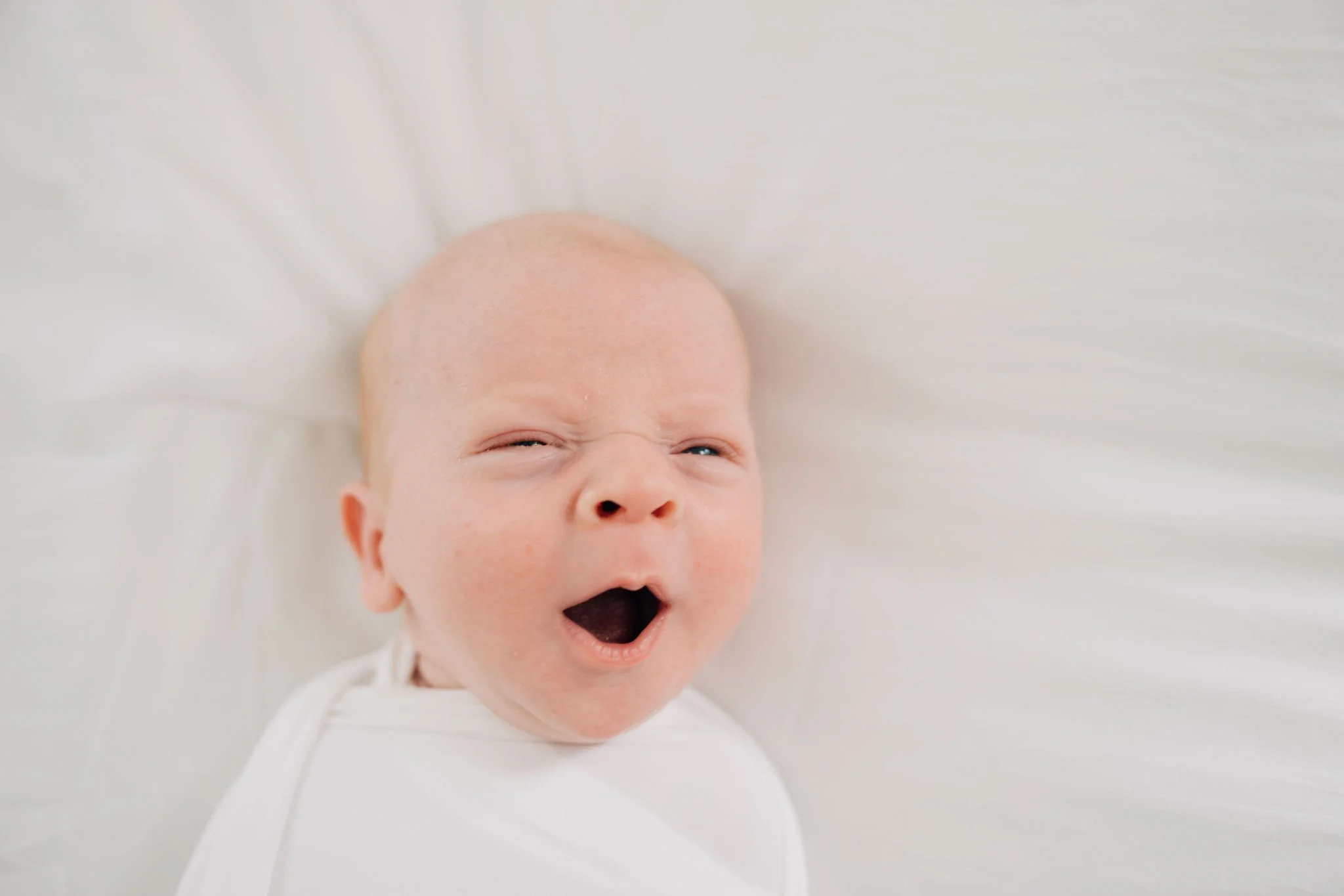 Best Newborn Photographer in Greenville, SC