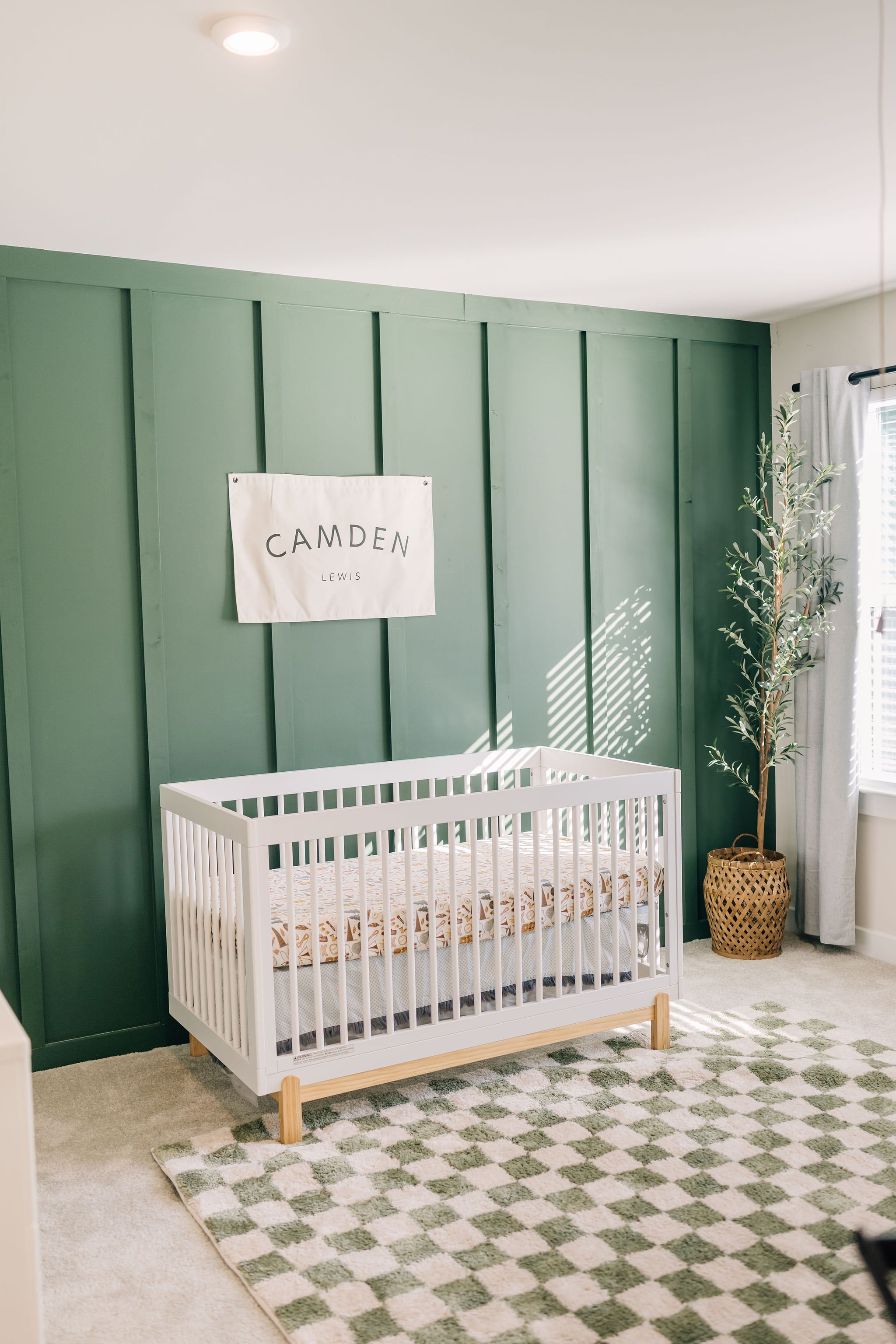 Best Newborn Photographer in Greenville, SC-9674.jpg