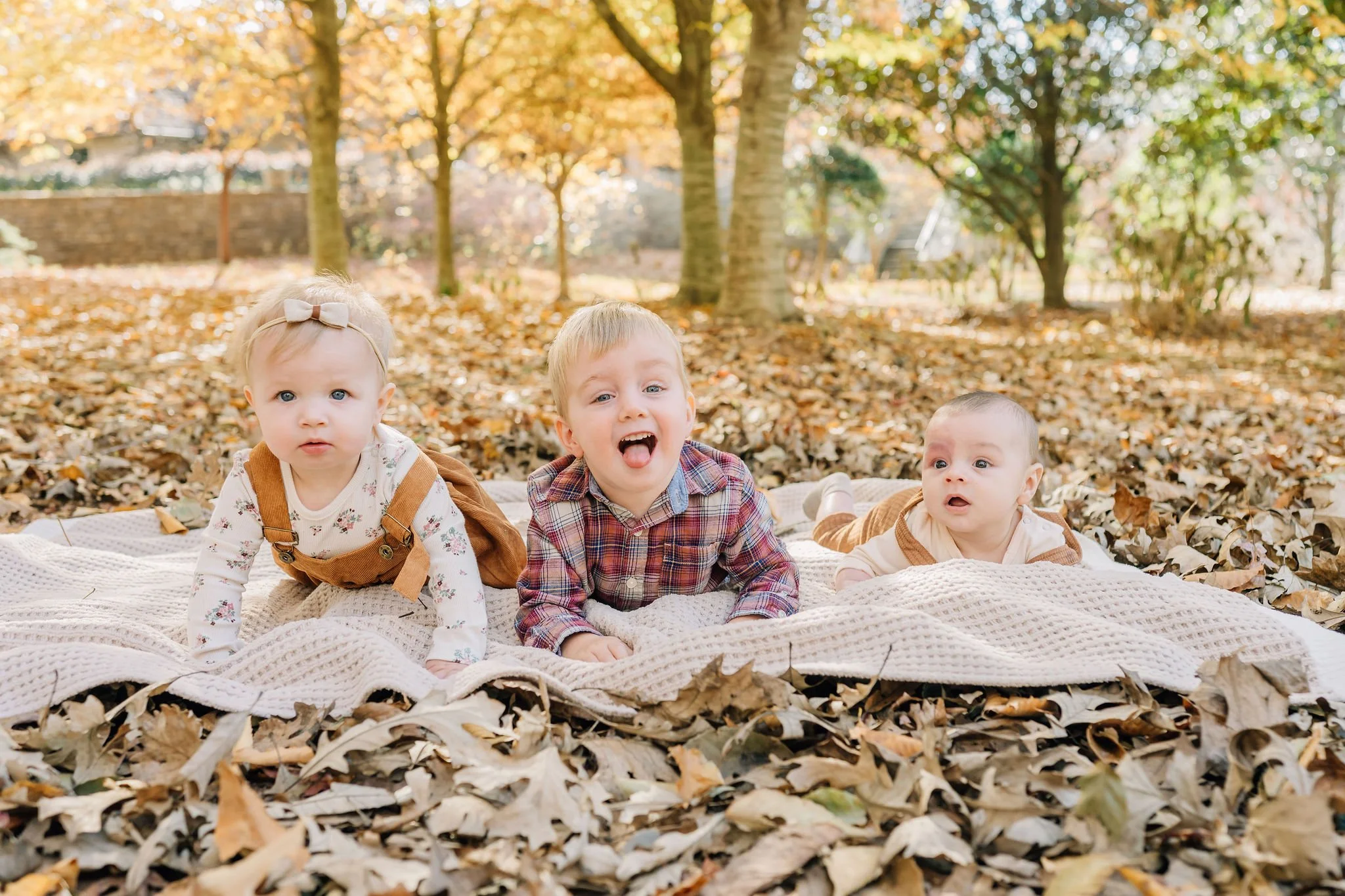 Extended Family Photographer in Greer, SC