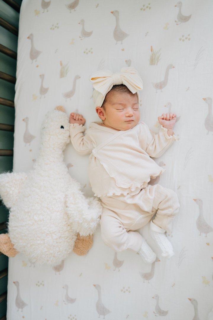 Piedmont, SC Newborn Photographers