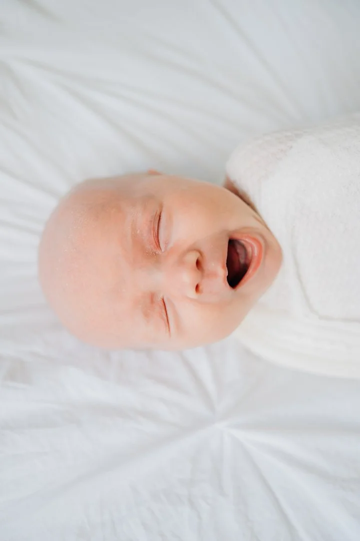 In Studio Newborn Photography In Greer, South Carolina