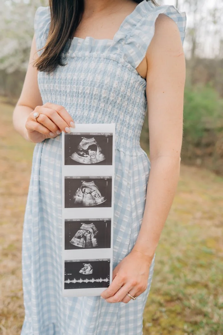 pregnancy announcement photos with twins in Greenville, SC-4792.jpg