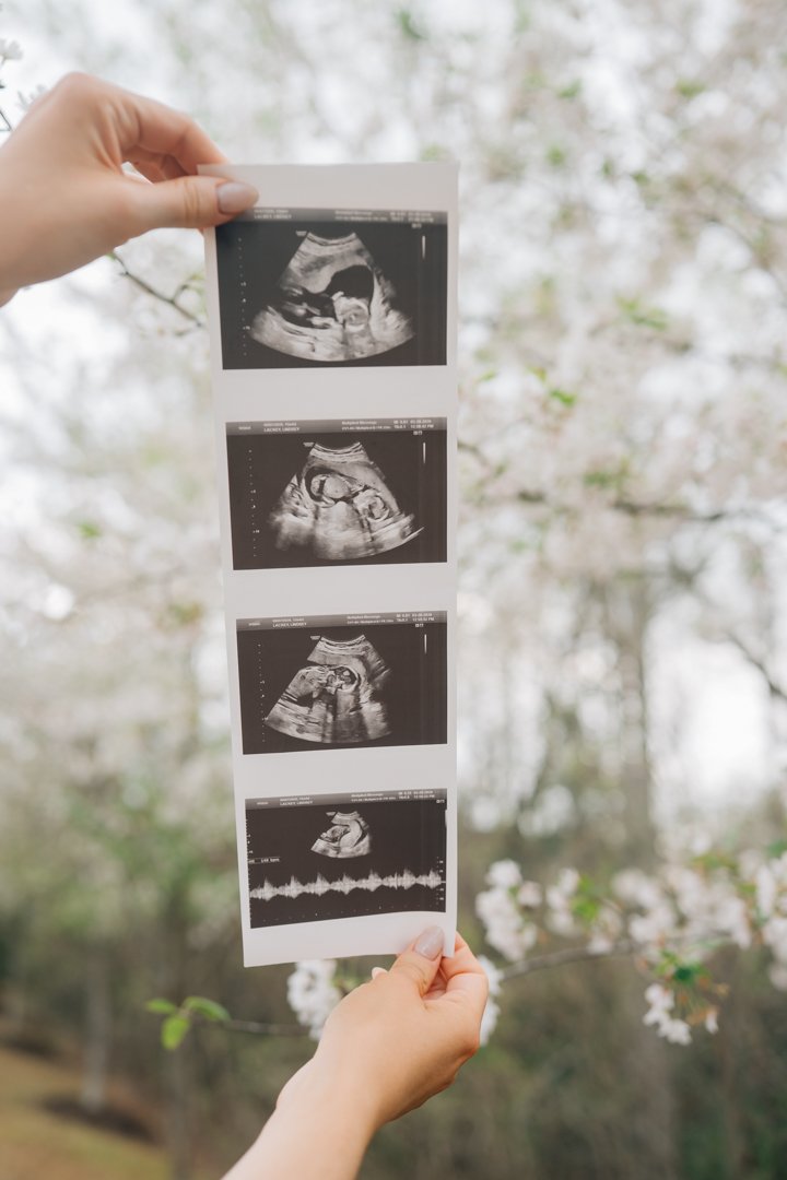 pregnancy announcement photos with twins in Greenville, SC-4822.jpg