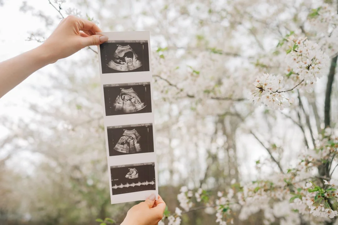 Pregnancy Announcement with Twin Toddlers in Greenville, SC