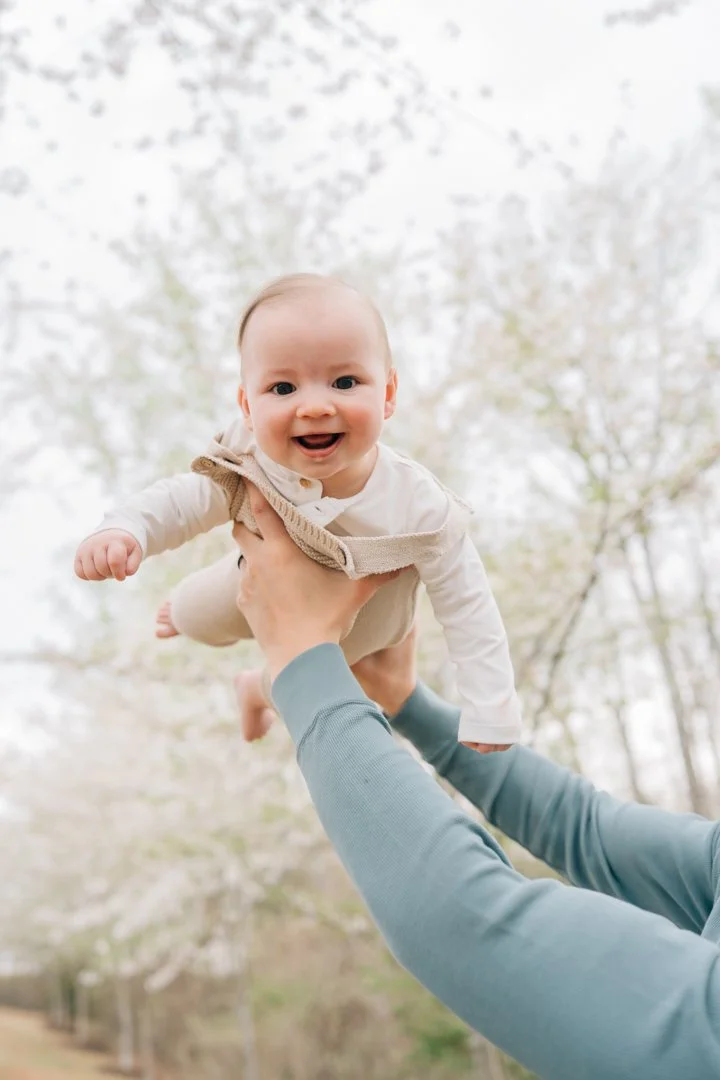 Family Photos During Spring Cherry Blossoms in Greenville, SC