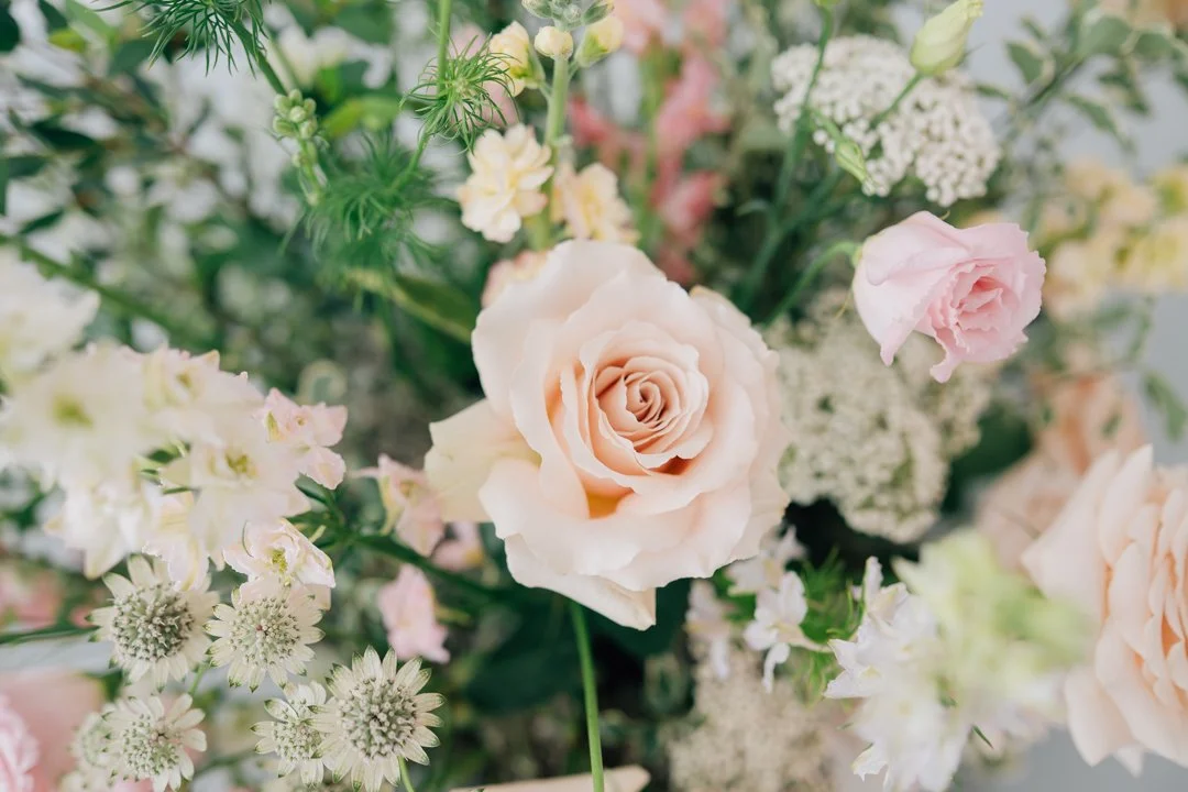 In Studio Second Birthday Photos in Greenville, SC