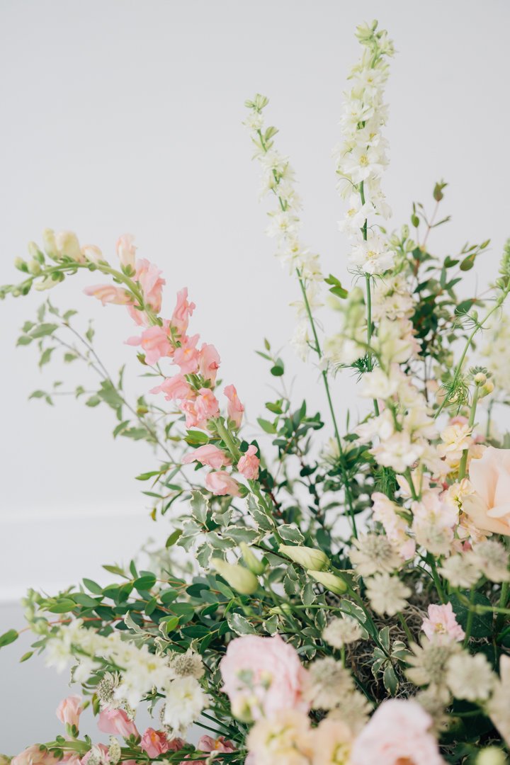 In Studio Second Birthday Photos in Greenville, SC