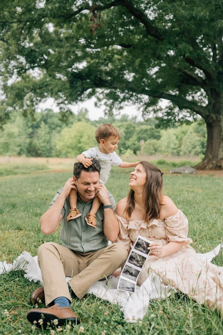 Pregnancy Announcement Photographer in Greenville, South Carolina