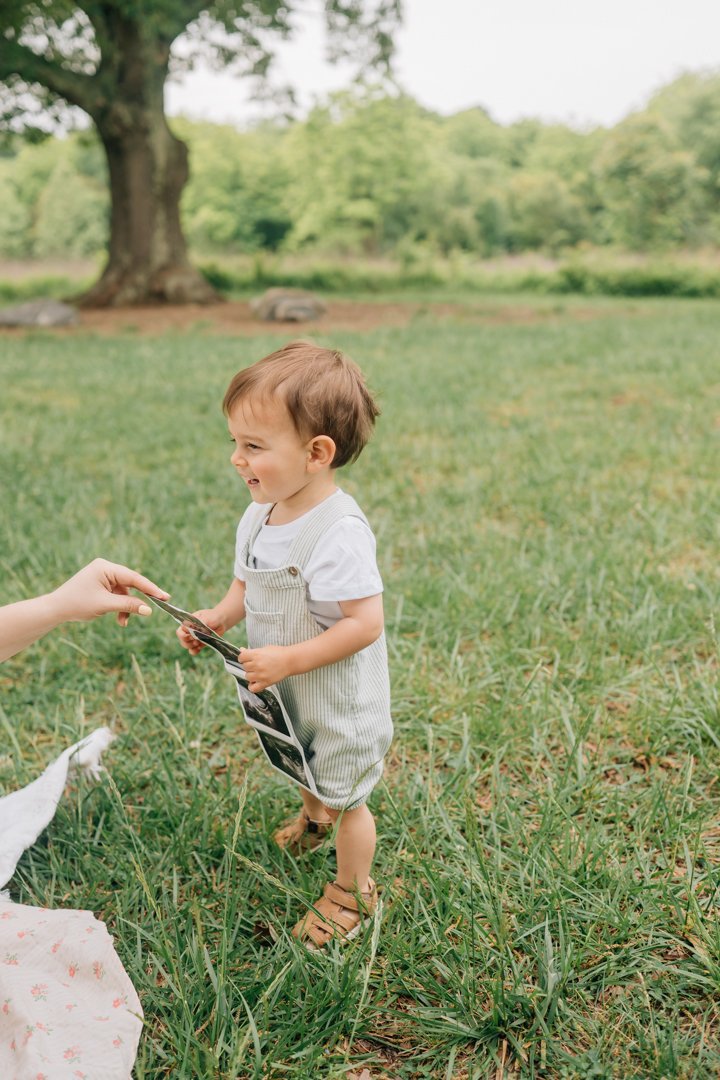 Pregnancy Announcement Photographer in Greenville, South Carolina