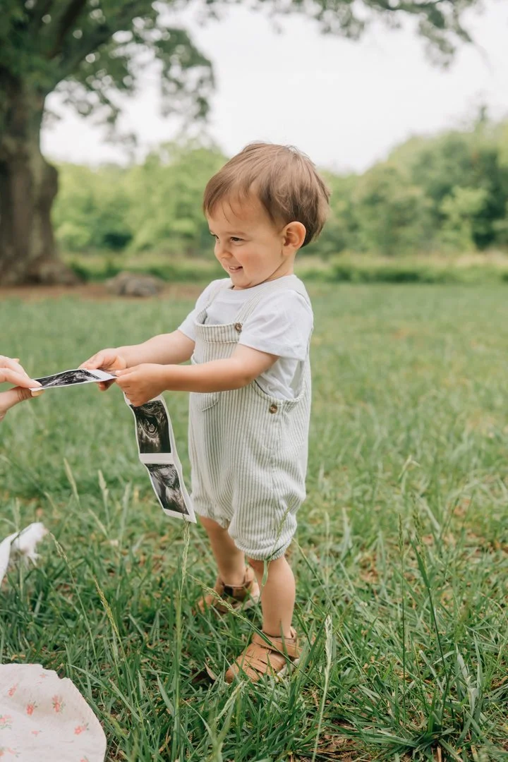 Pregnancy Announcement Photographer in Greenville, South Carolina