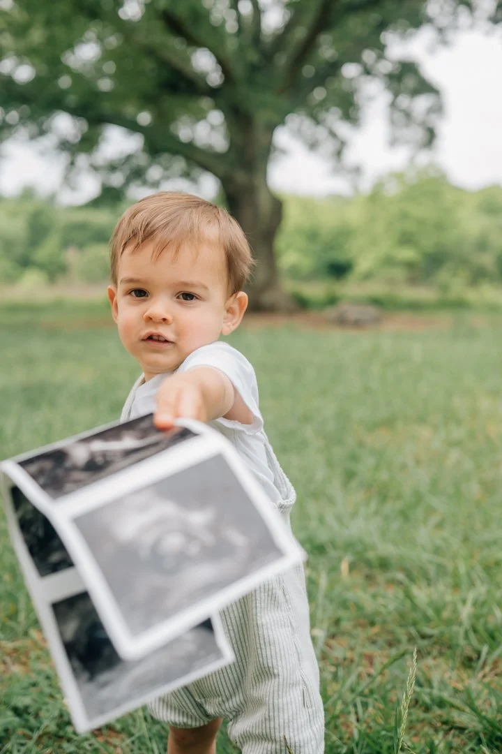 Pregnancy Announcement Photographer in Greenville, South Carolina