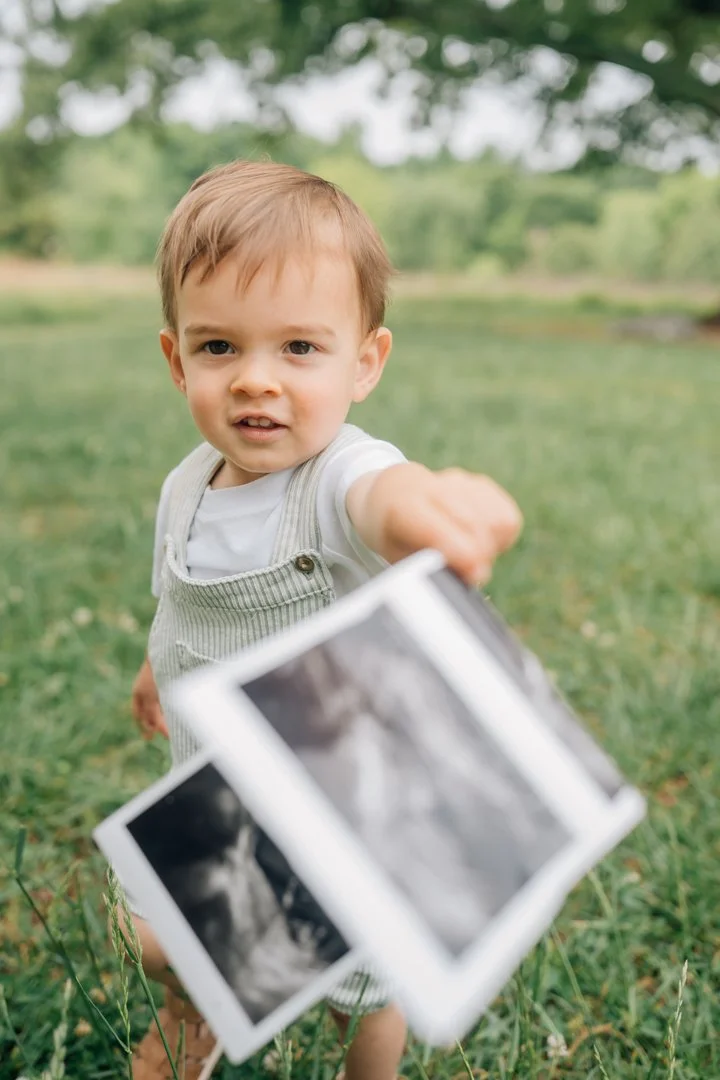 Pregnancy Announcement Photographer in Greenville, South Carolina