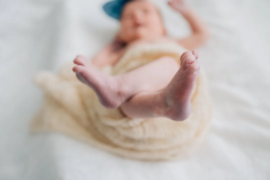  baby photographers travelers rest 