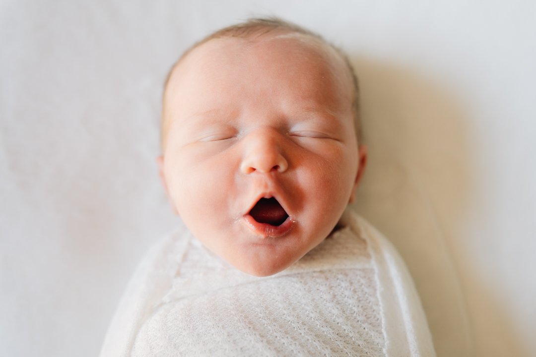 Best Travelers Rest In Home Newborn Photographers