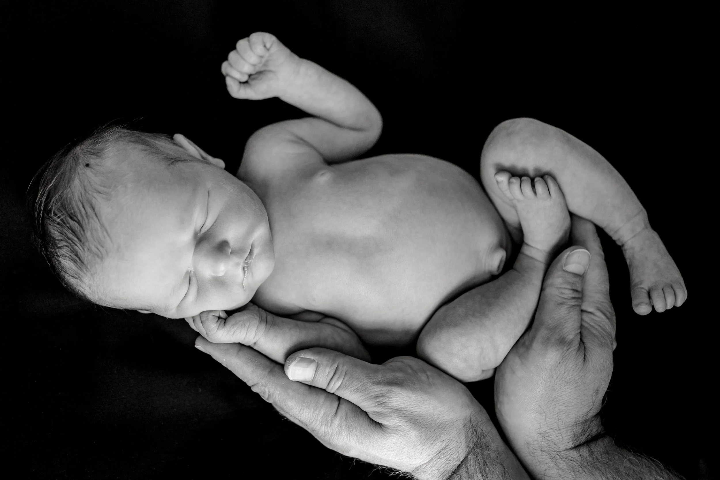 Travelers Rest In Home Newborn Photographer