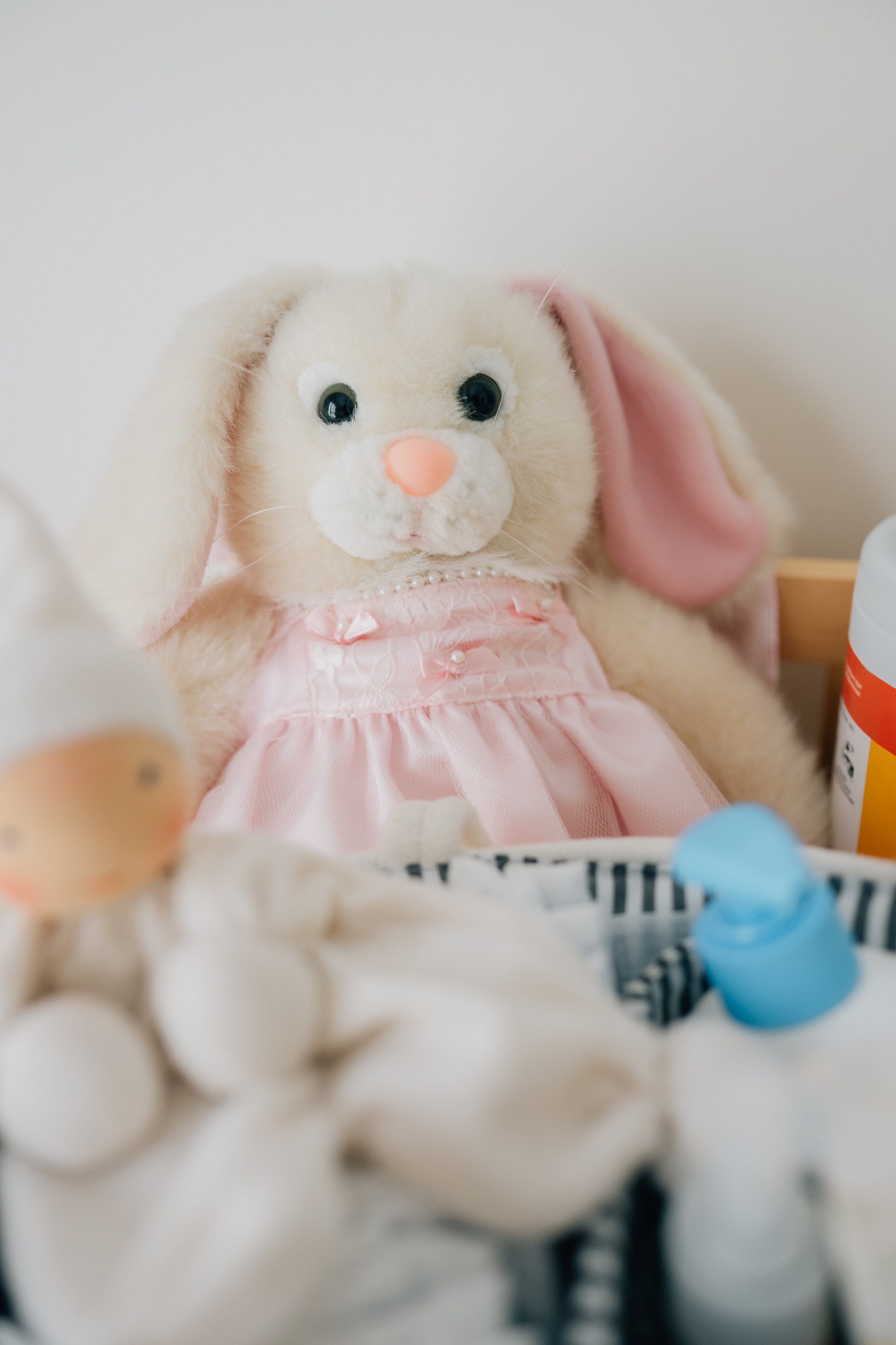 Best Baby Photographers in Greenville, SC | In-Home Newborn Session