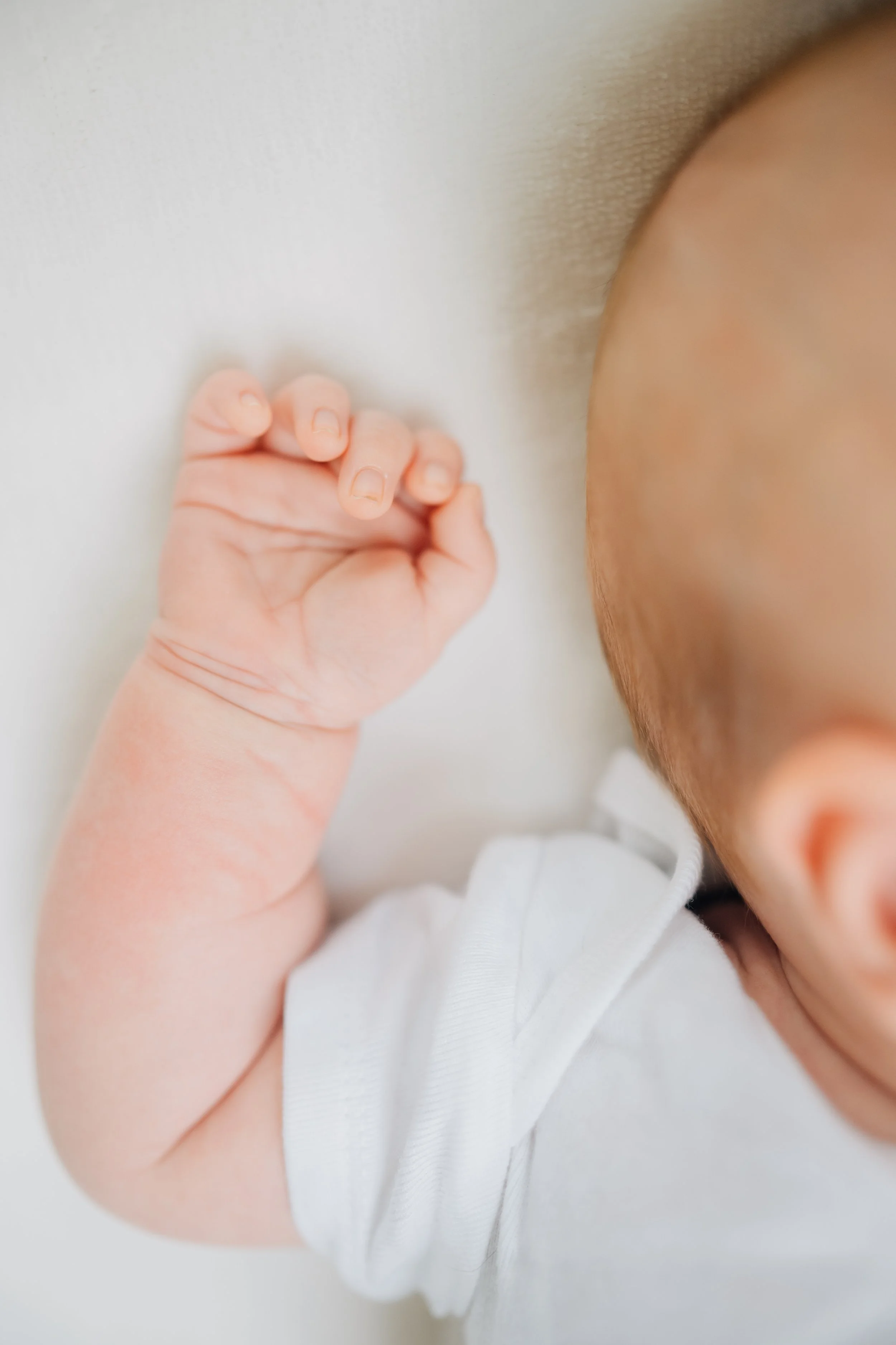 Best Baby Photographers in Greenville, SC | In-Home Newborn Session