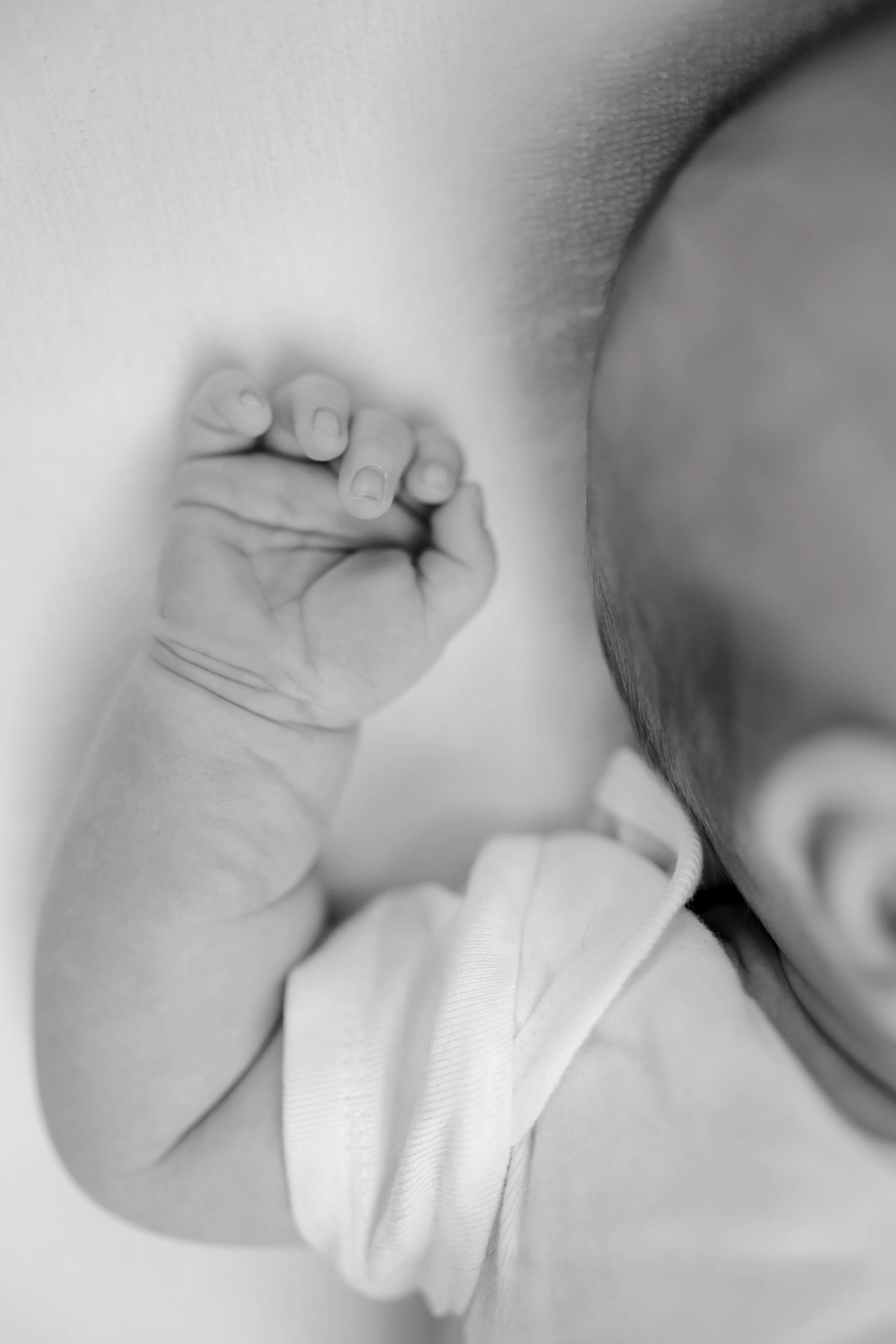 Best Baby Photographers in Greenville, SC | In-Home Newborn Session