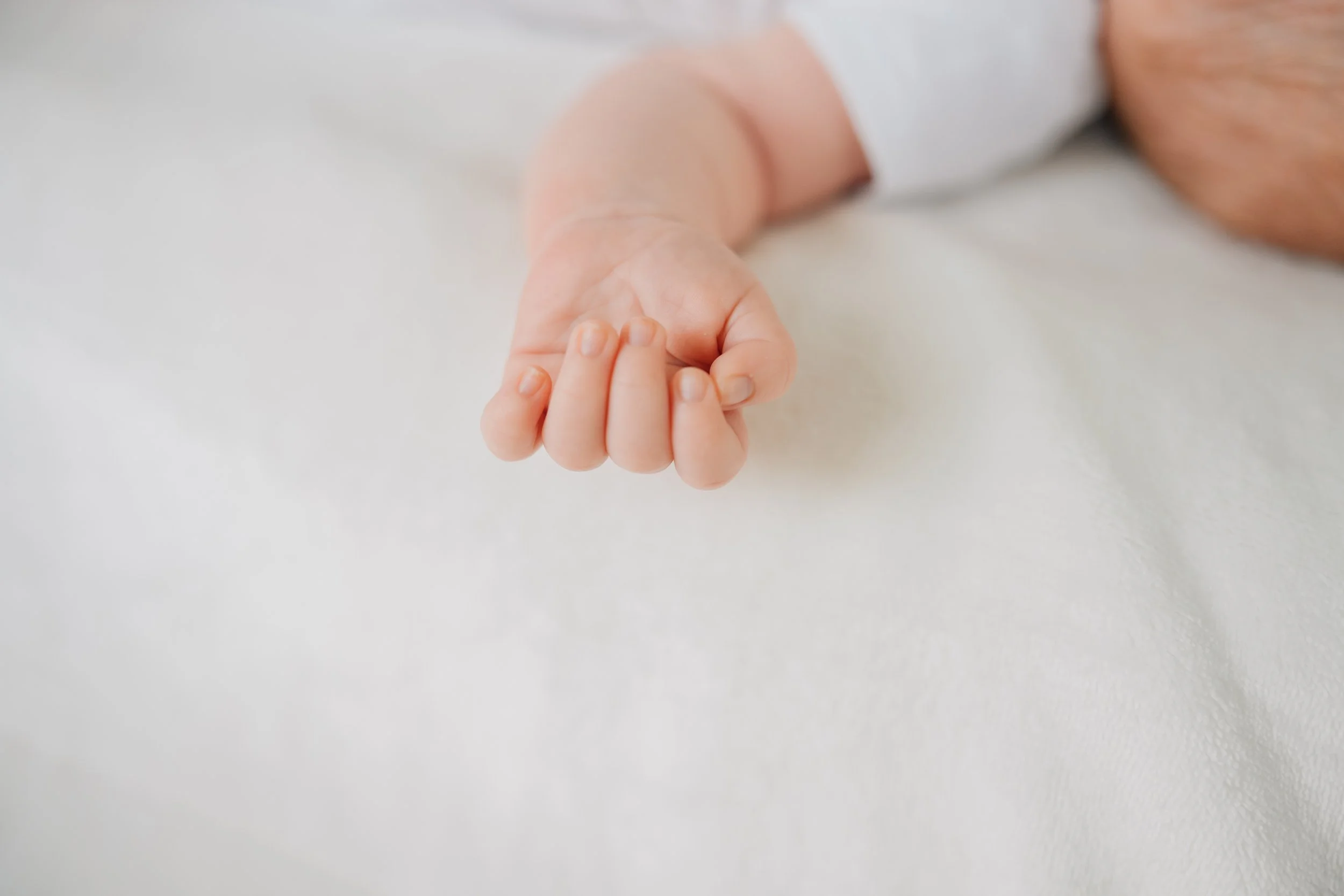 Best Baby Photographers in Greenville, SC | In-Home Newborn Session