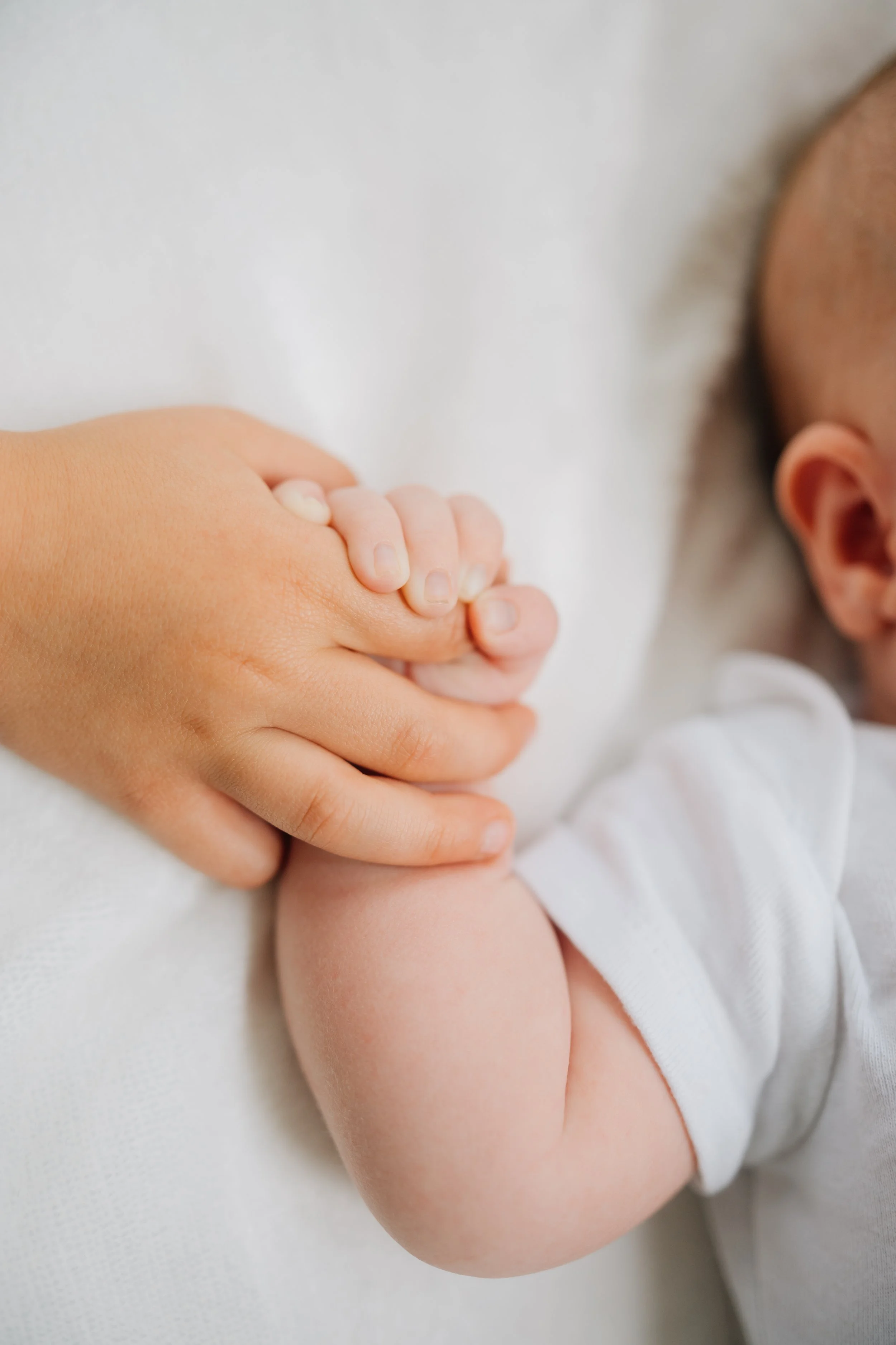 Best Baby Photographers in Greenville, SC | In-Home Newborn Session