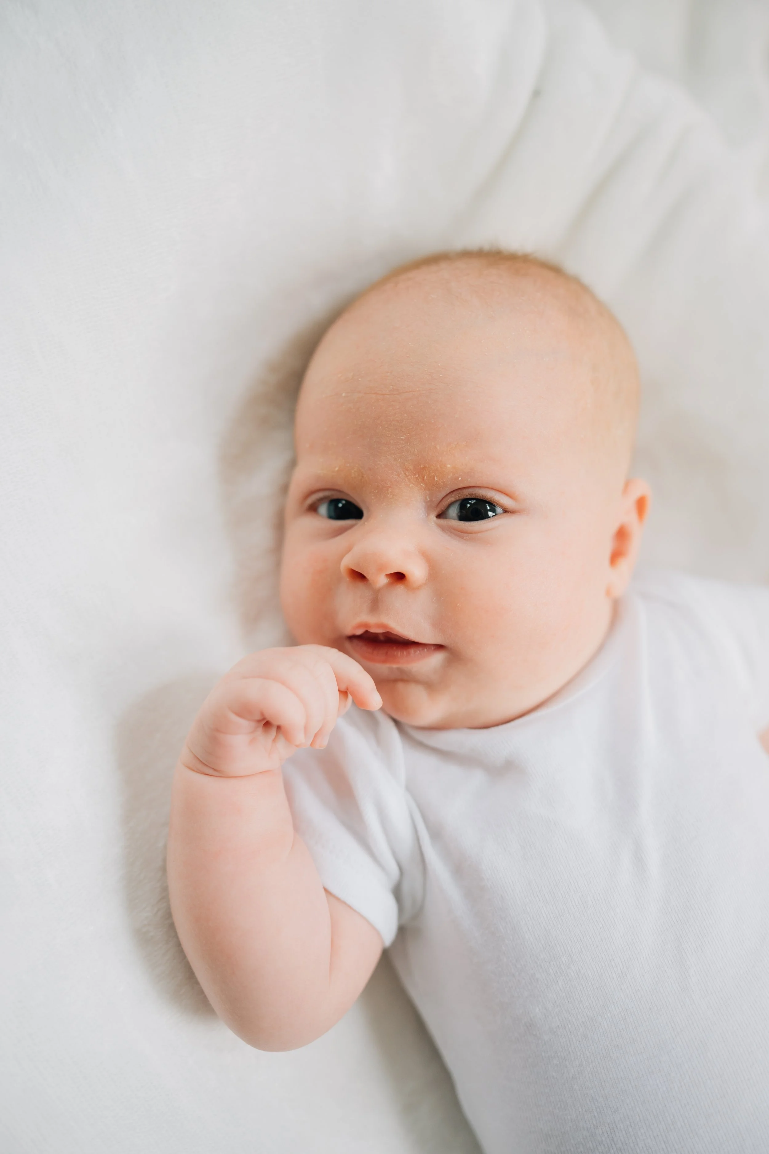 Best Baby Photographers in Greenville, SC | In-Home Newborn SessionBest Baby Photographers in Greenville, SC | In-Home Newborn Session